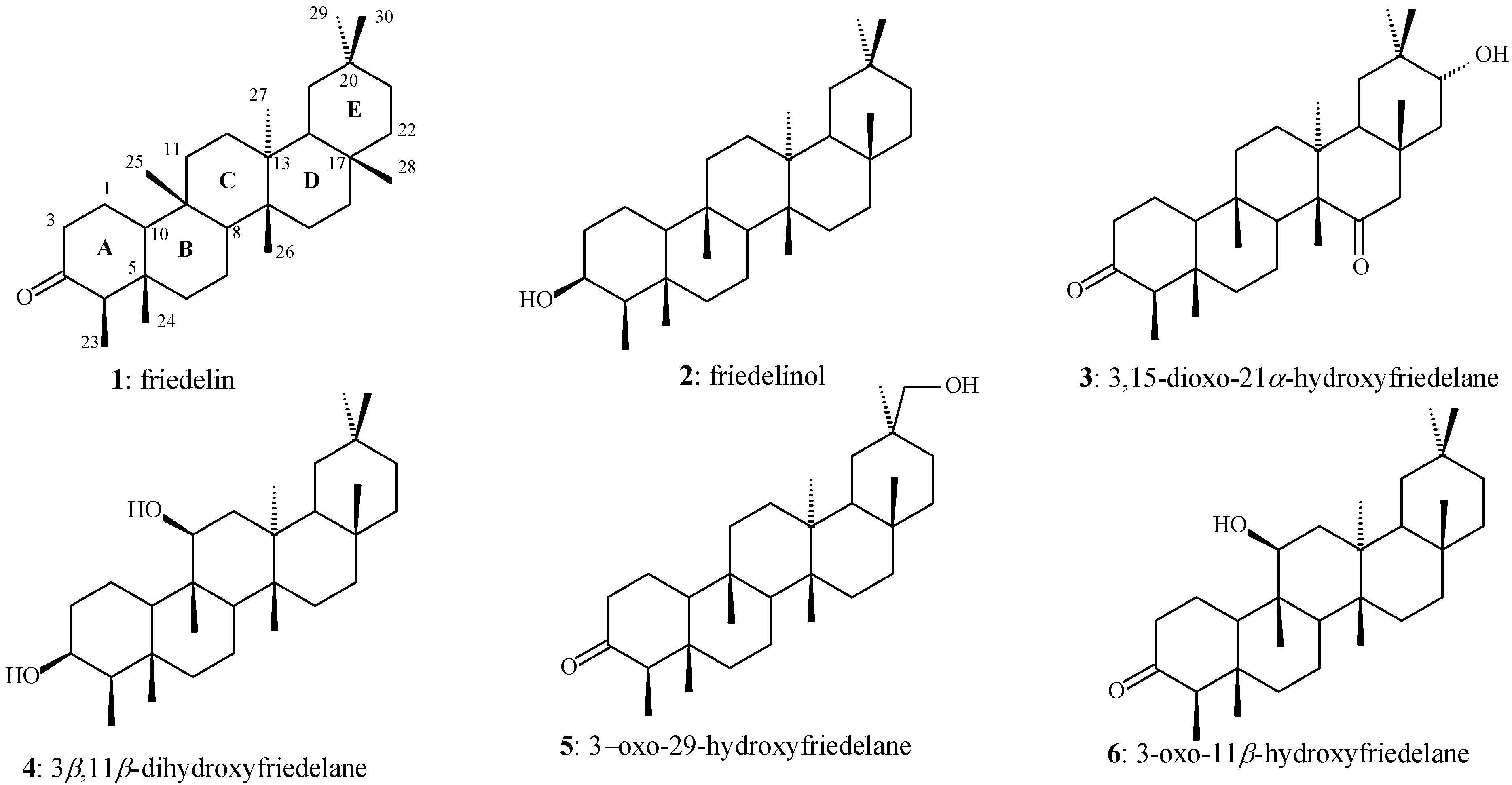 Molecules 17 13439 g001