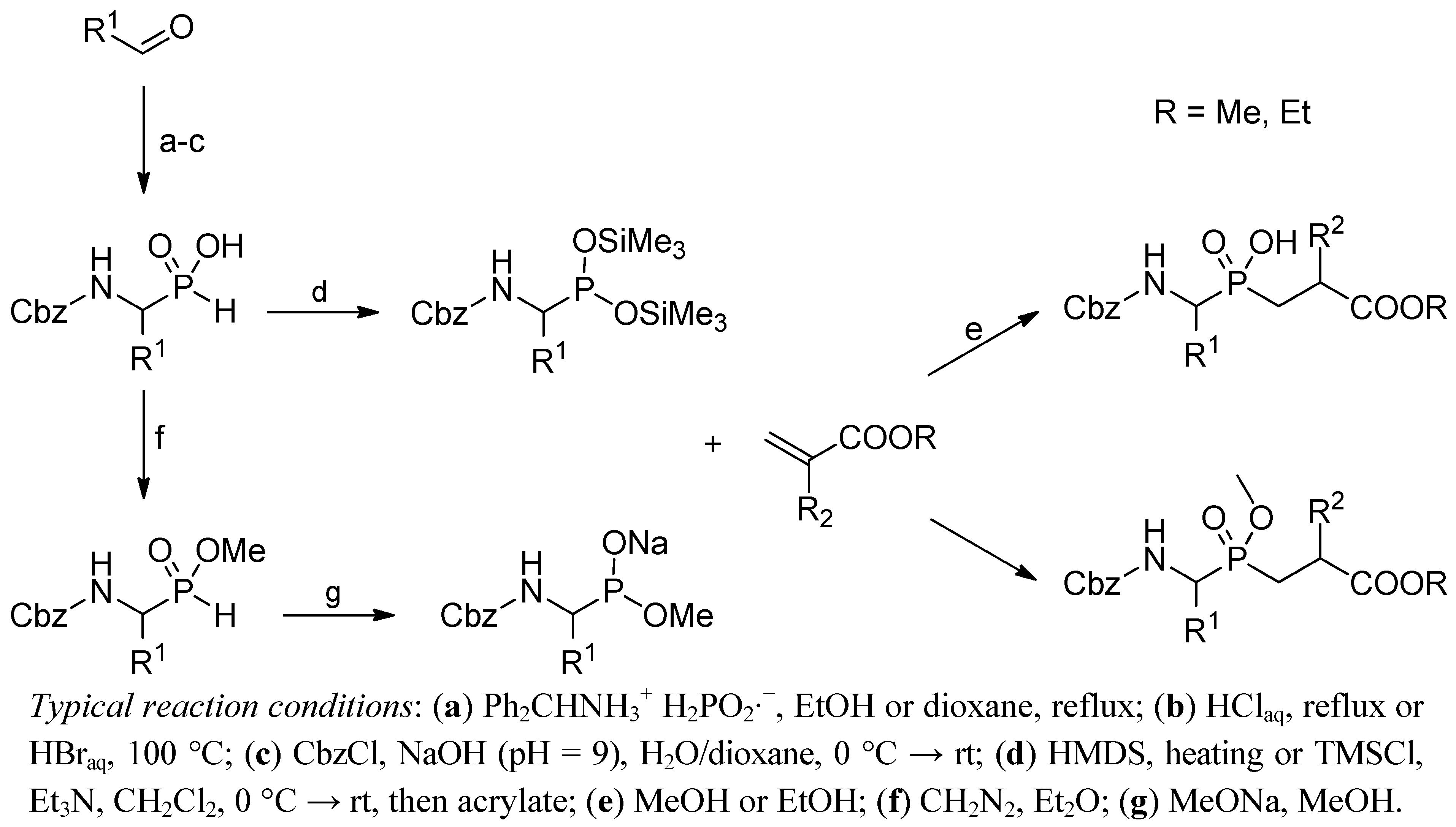 Molecules 17 13530 g002