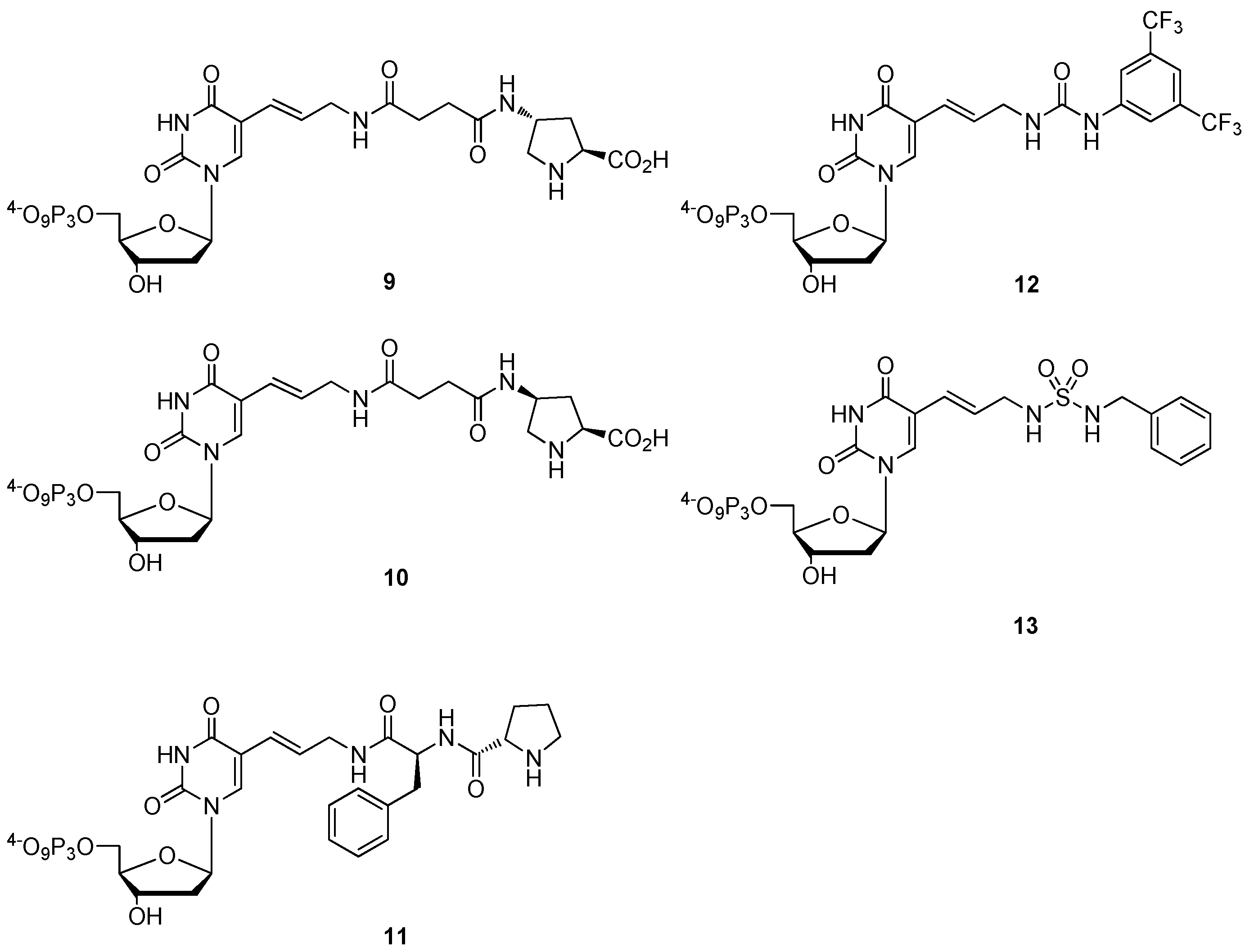 Molecules 17 13569 g001