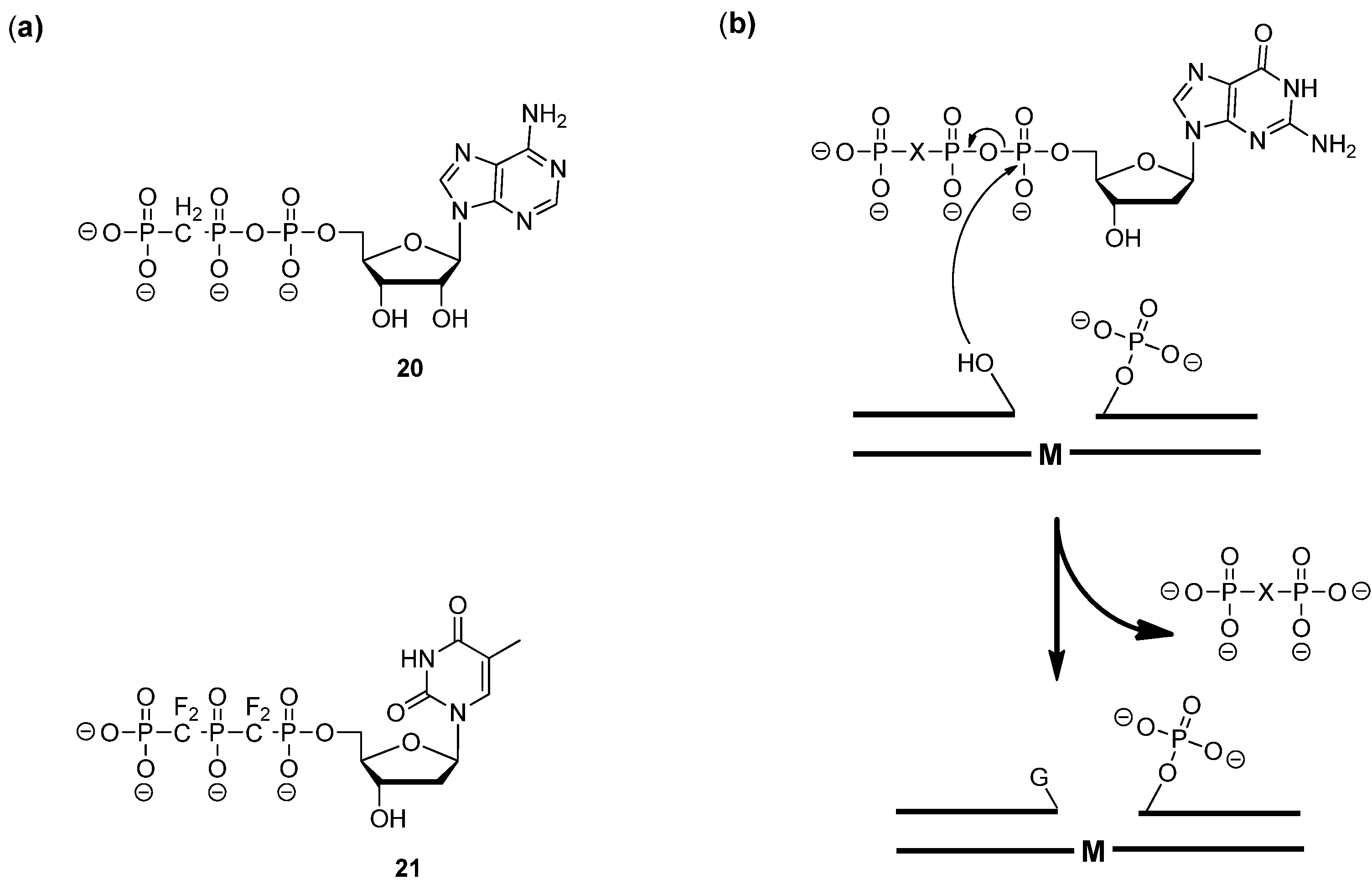 Molecules 17 13569 g002
