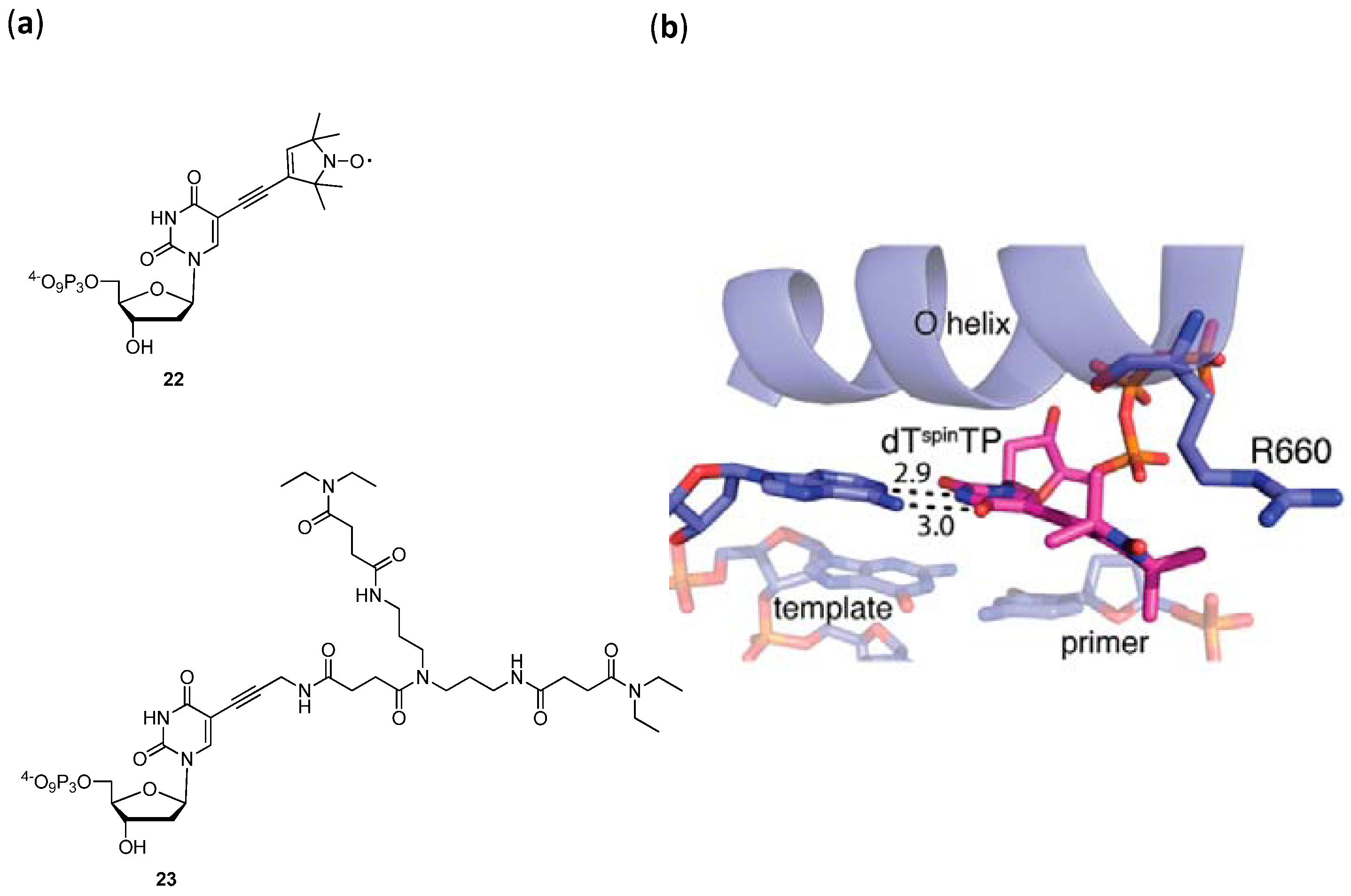 Molecules 17 13569 g003