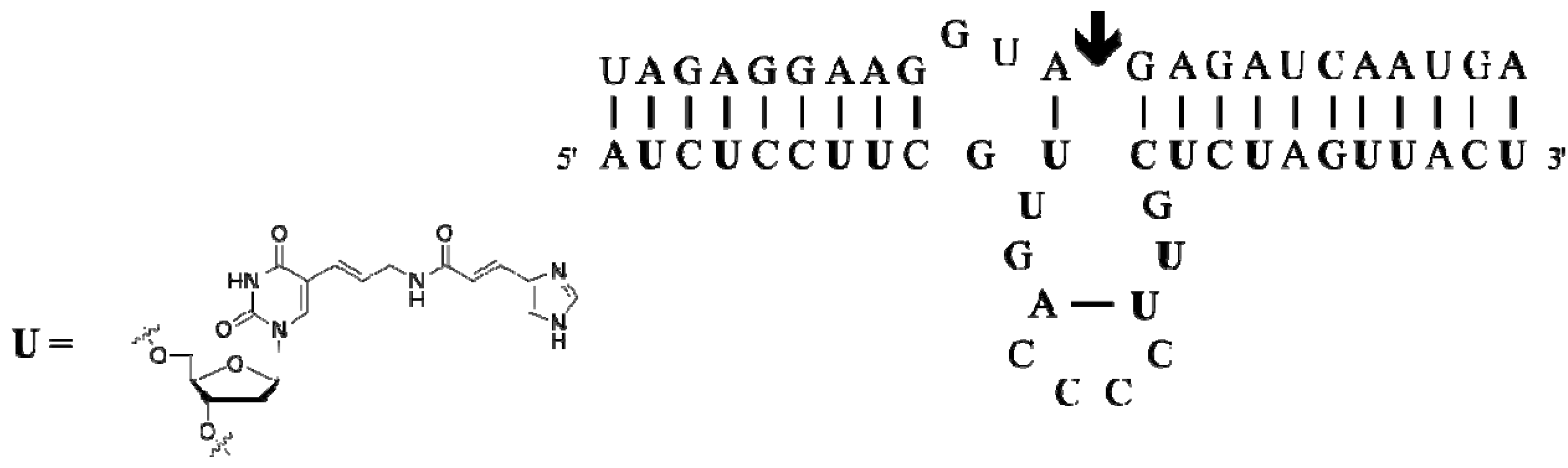 Molecules 17 13569 g004