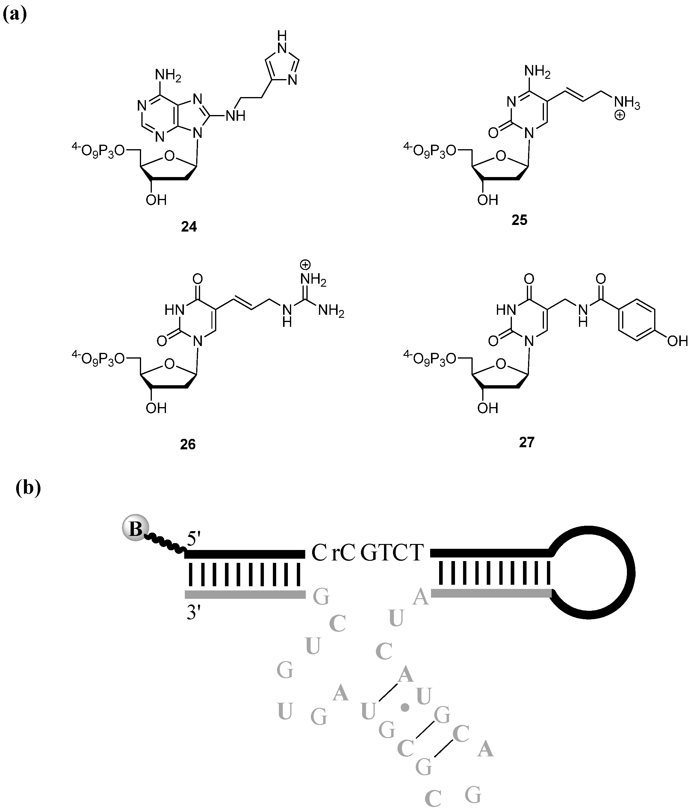 Molecules 17 13569 g005