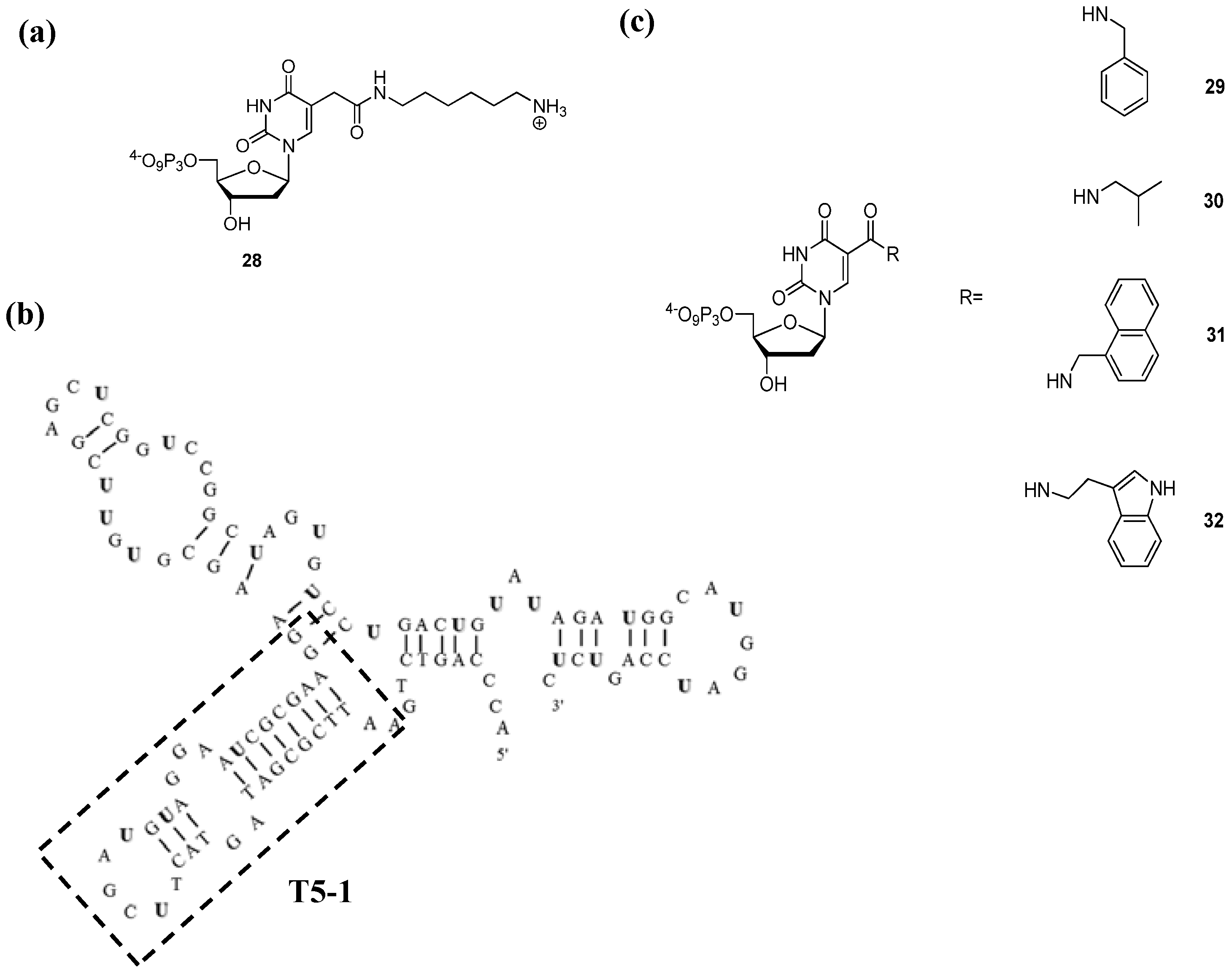 Molecules 17 13569 g006