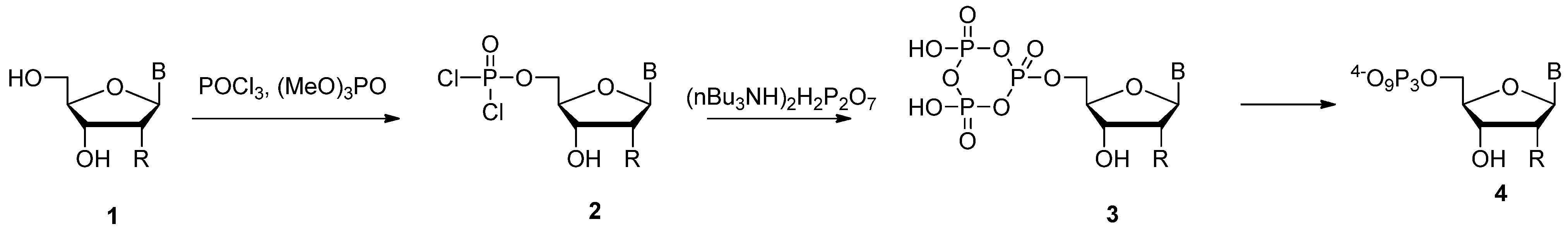 Molecules 17 13569 g007