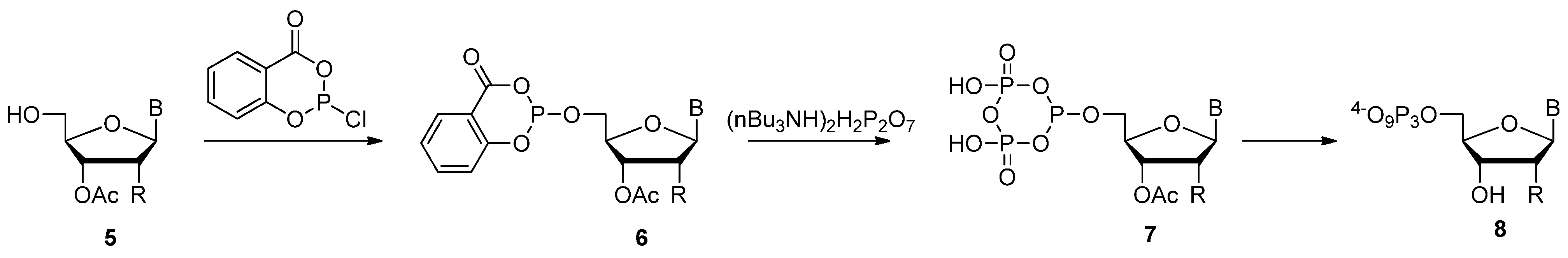Molecules 17 13569 g008
