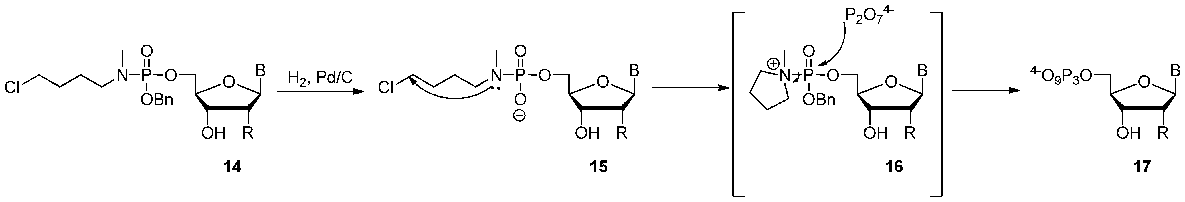 Molecules 17 13569 g009