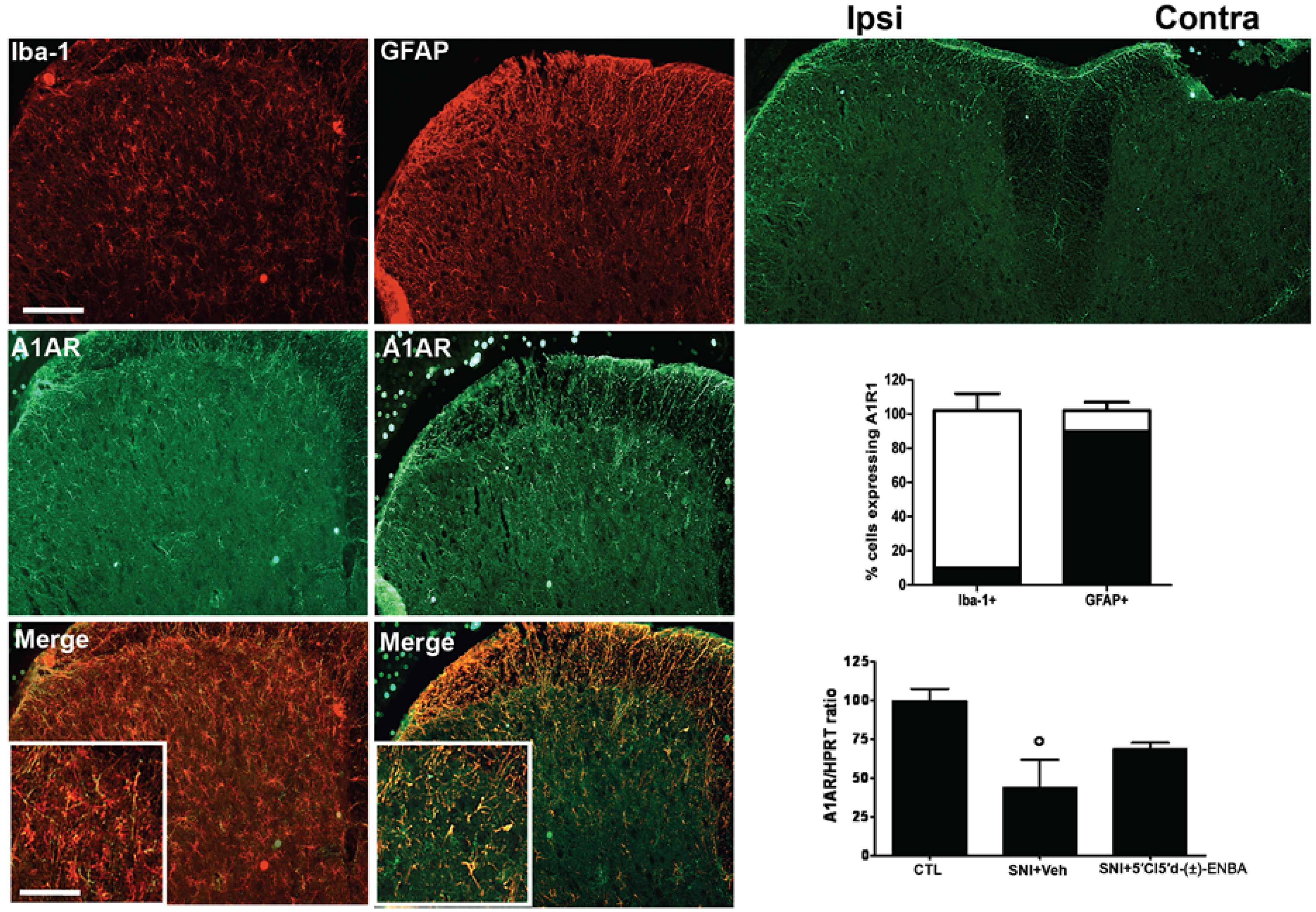 Molecules 17 13712 g006