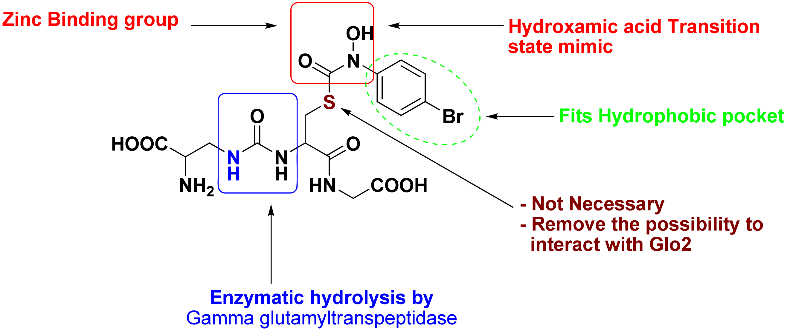Molecules 17 13740 g002