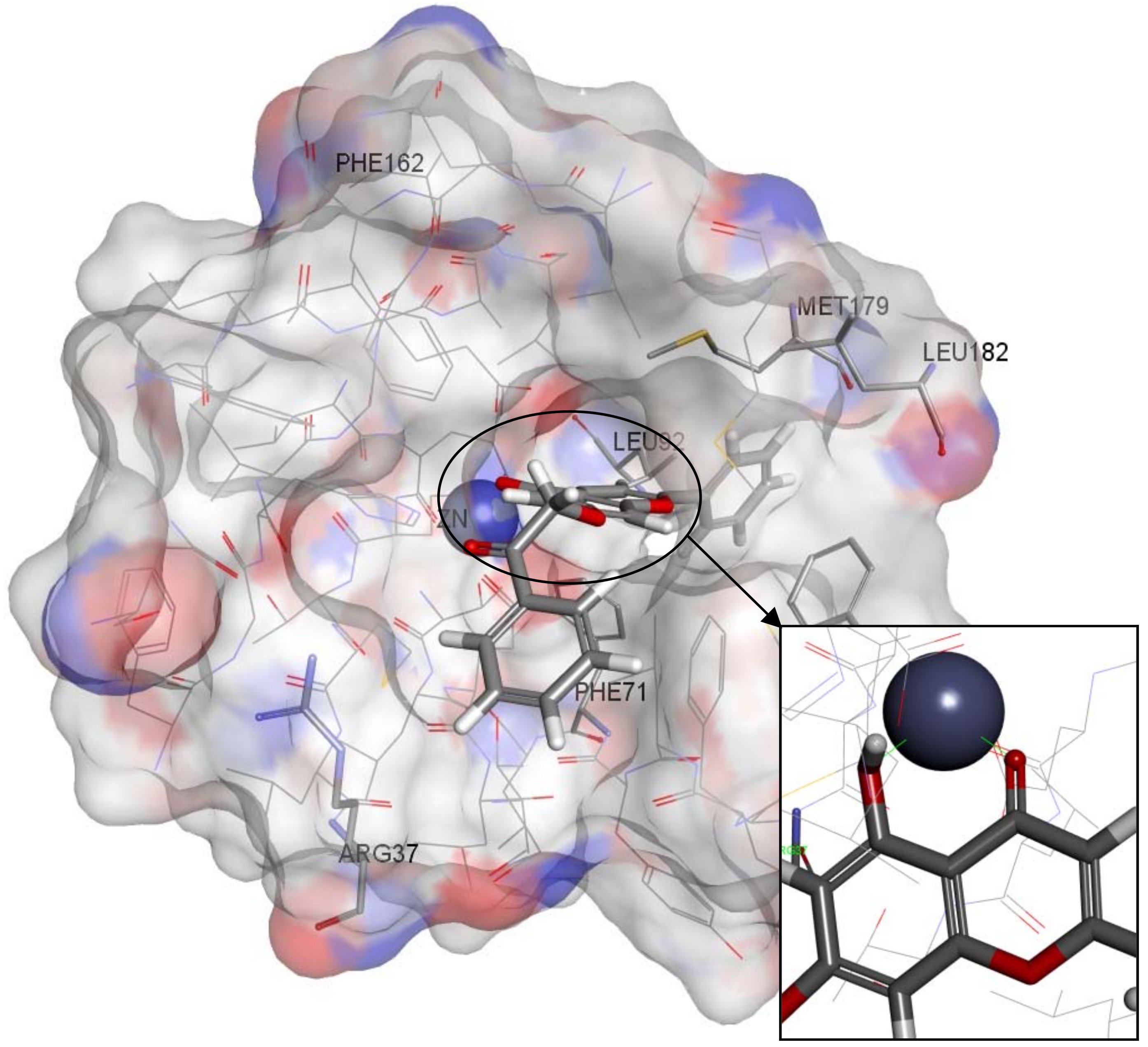 Molecules 17 13740 g010