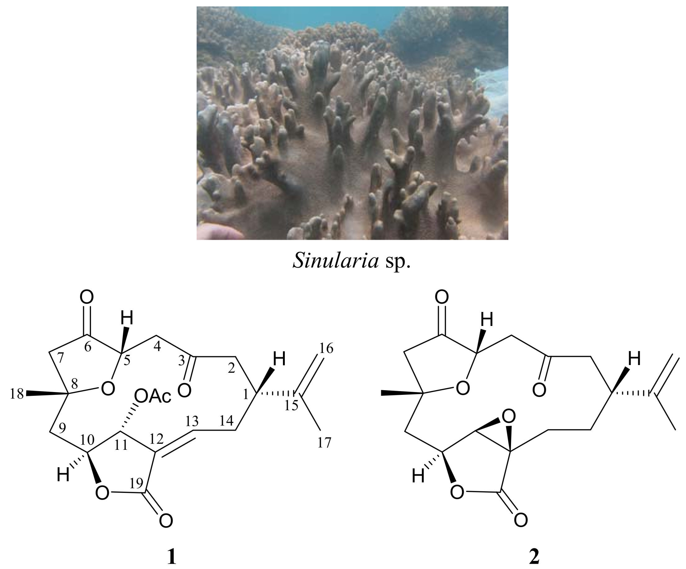 Molecules 17 14058 g001 550