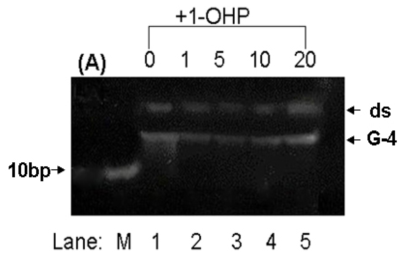 Molecules 17 14159 g007