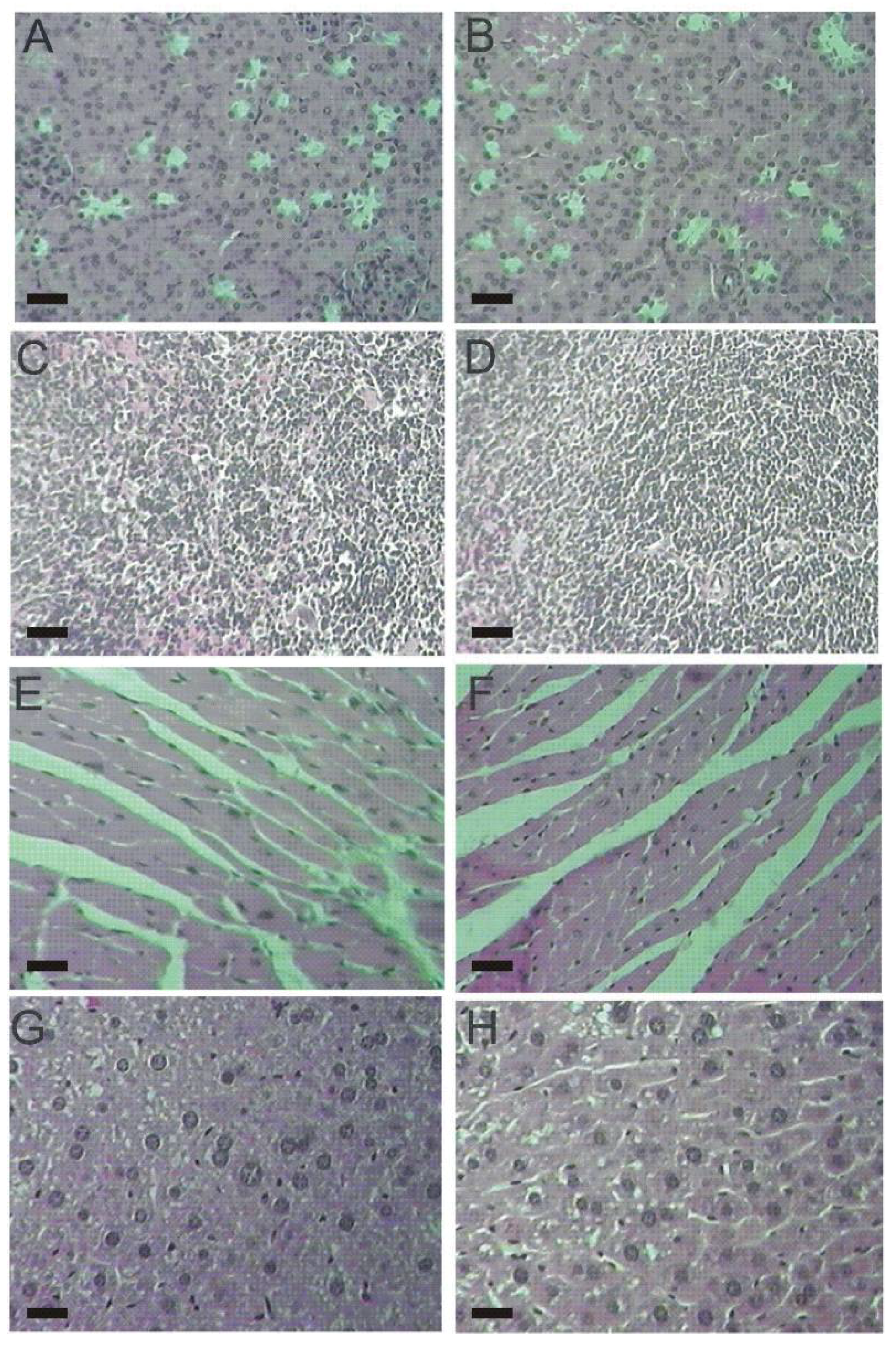 Molecules 17 14298 g004 550