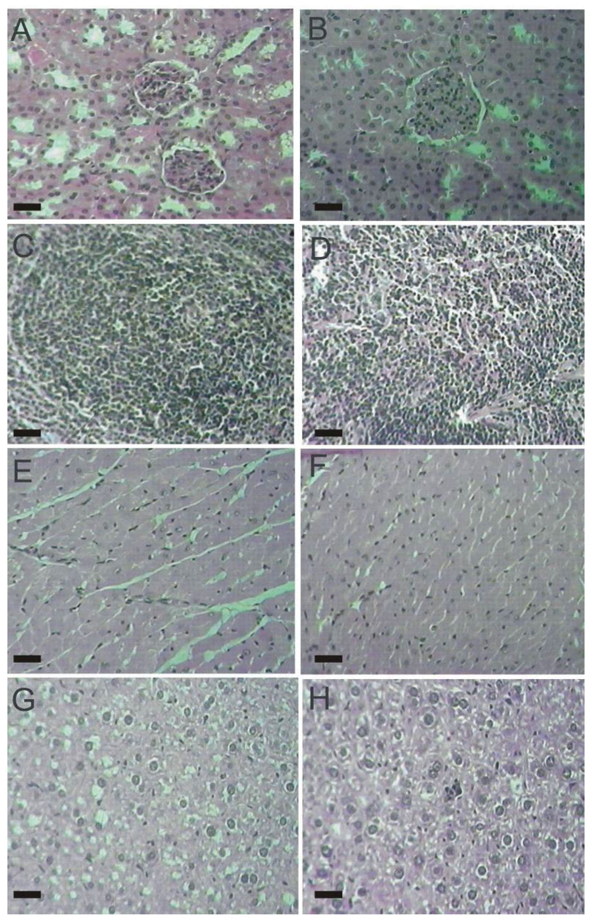 Molecules 17 14298 g005 550