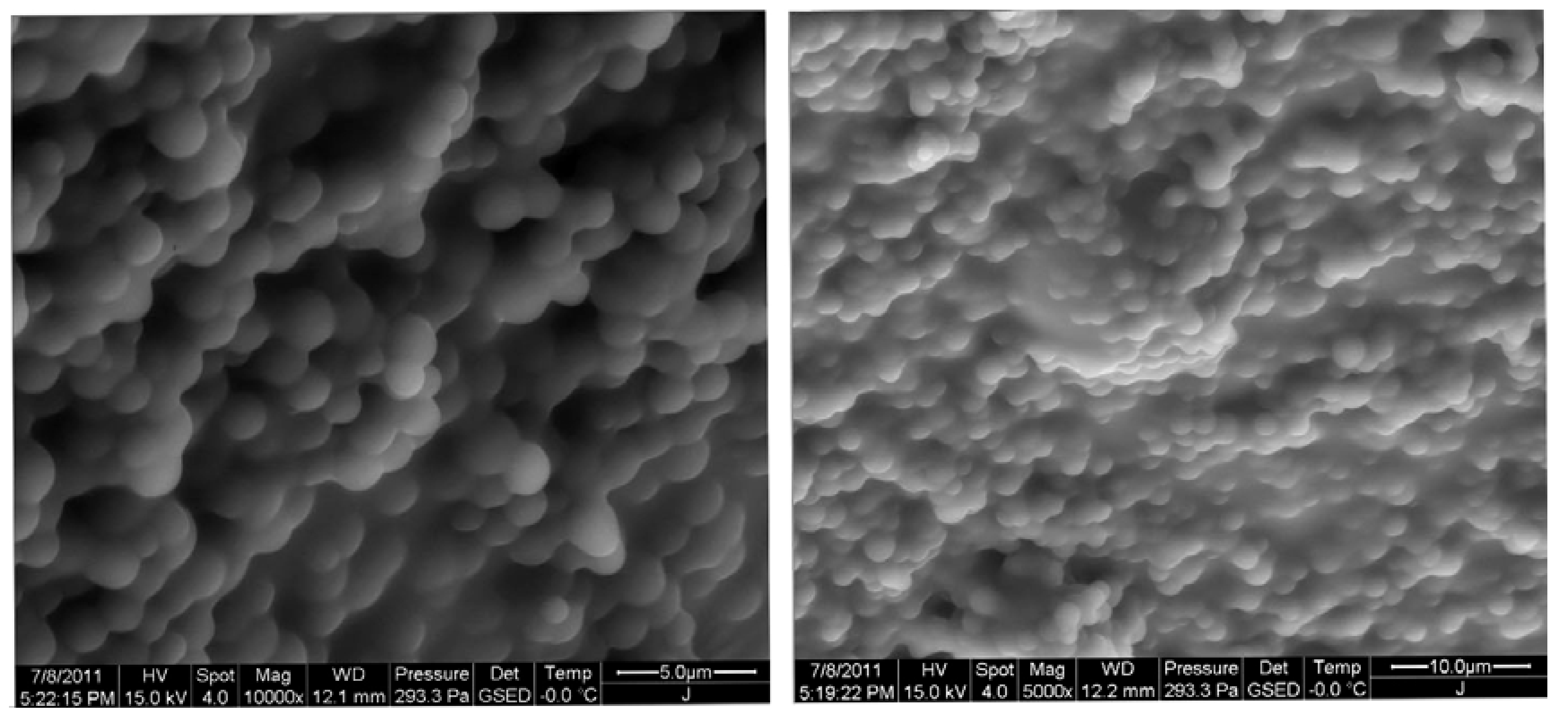 Molecules 17 14484 g001