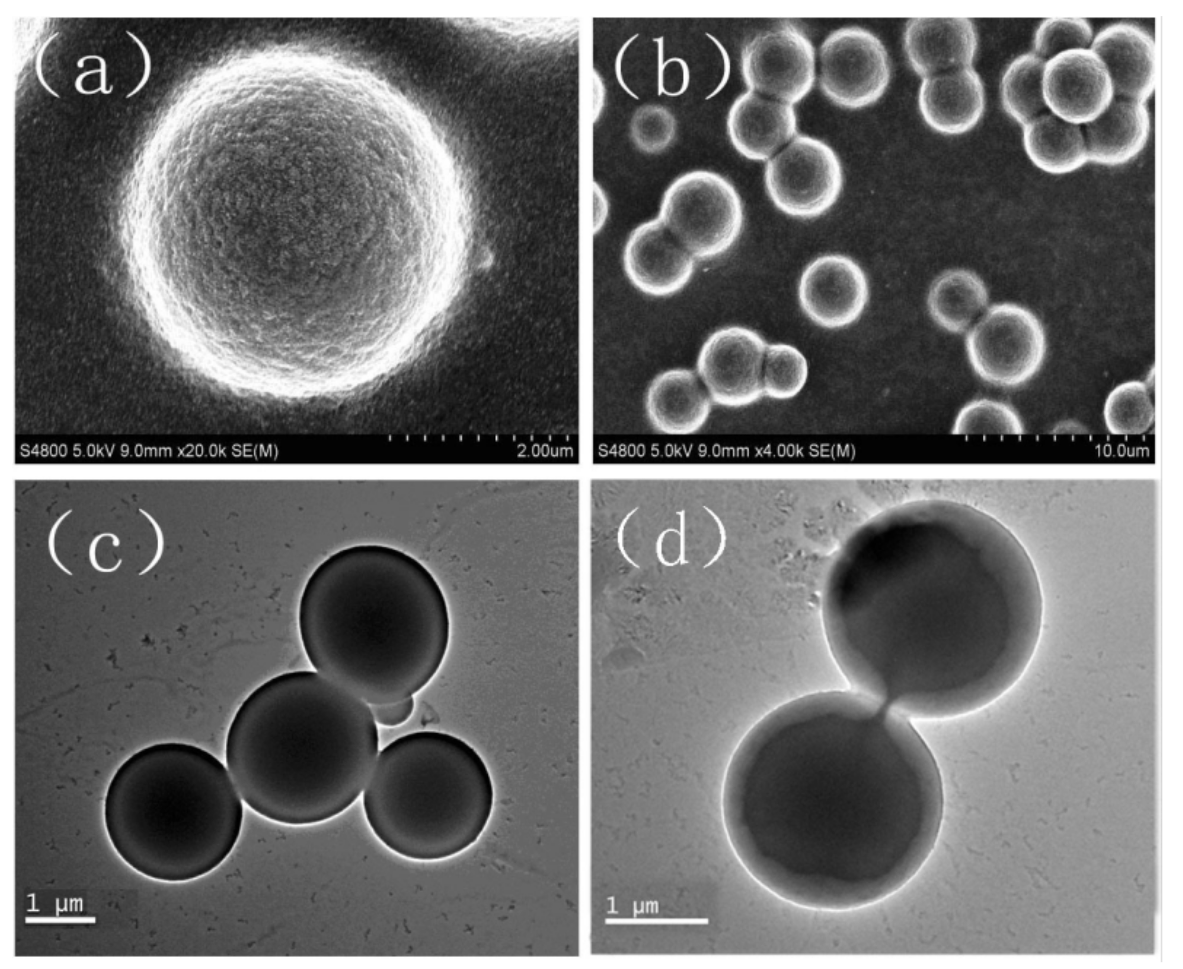 Molecules 17 14484 g002