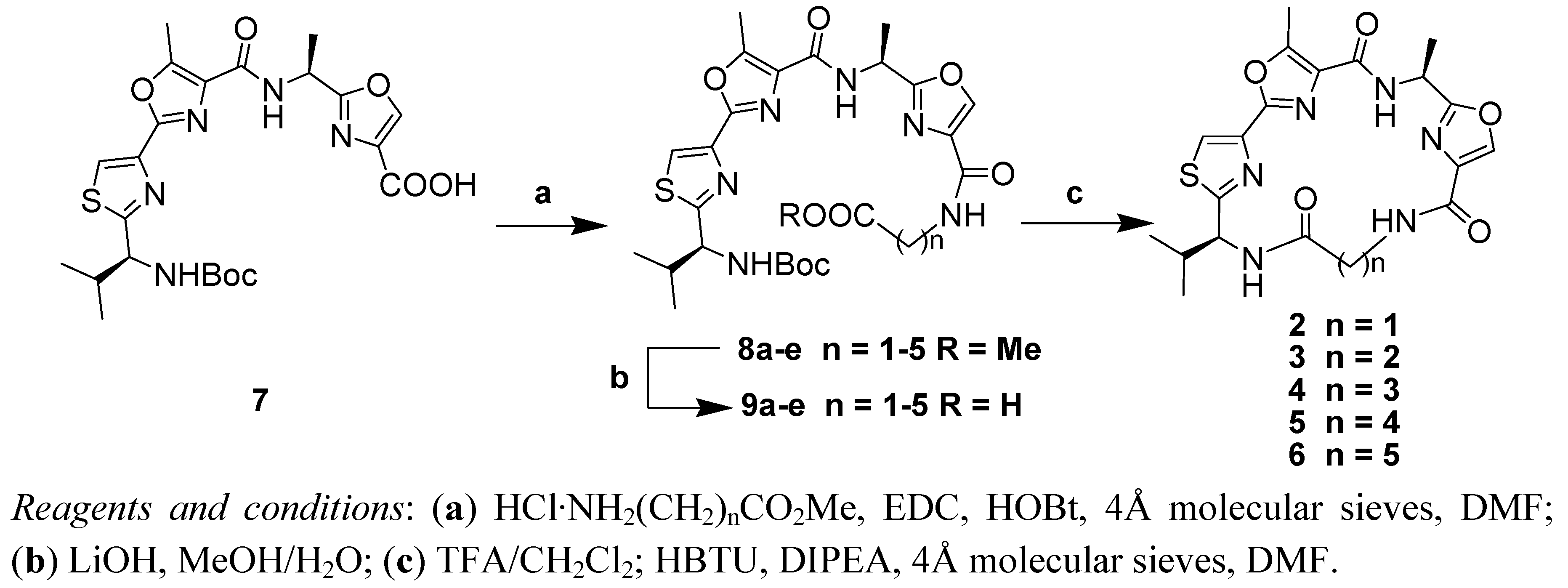 Molecules 17 14522 g005