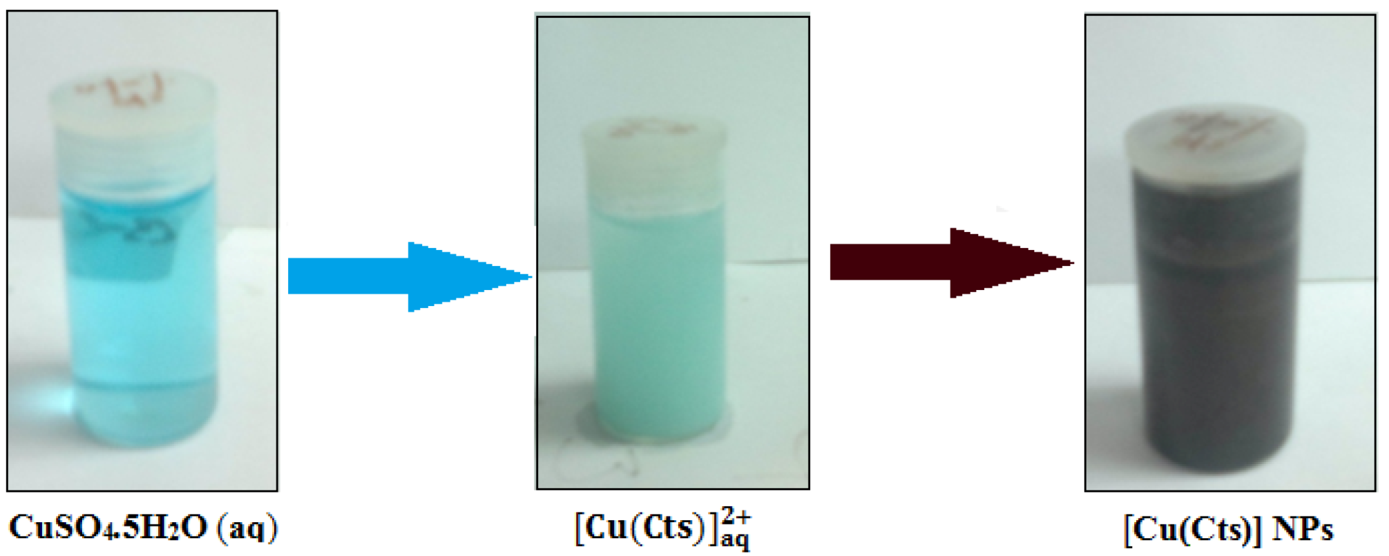 Molecules 17 14928 g001