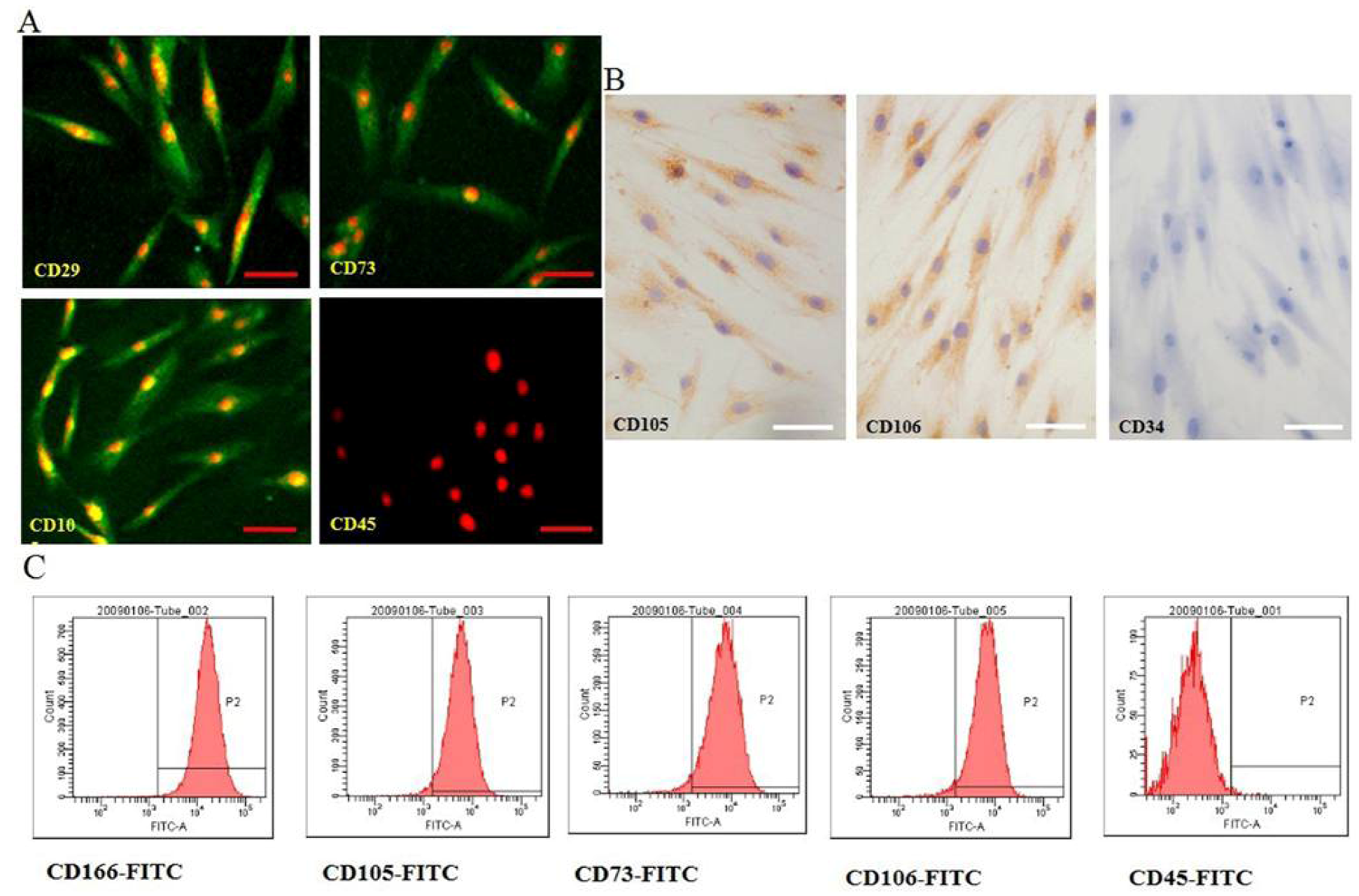 Molecules 17 14975 g002 550