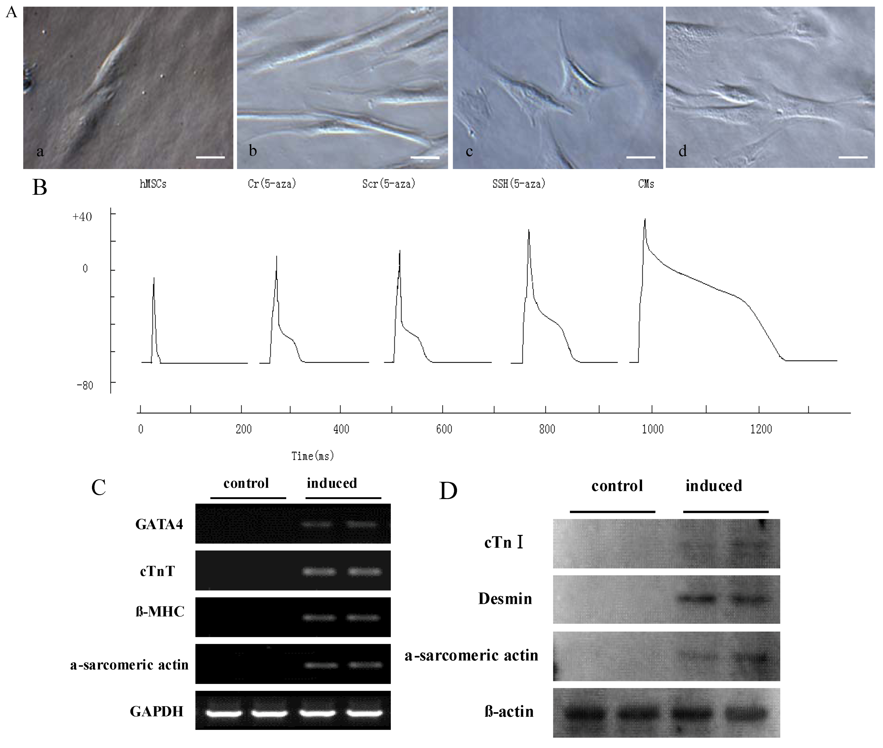 Molecules 17 14975 g005 550