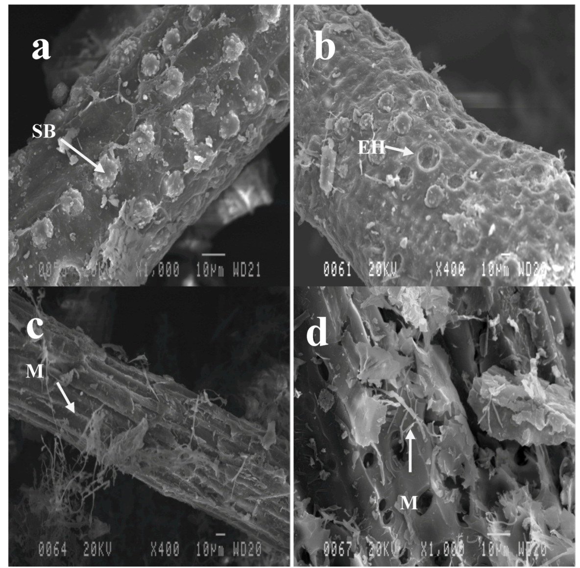 Molecules 17 14995 g004 550