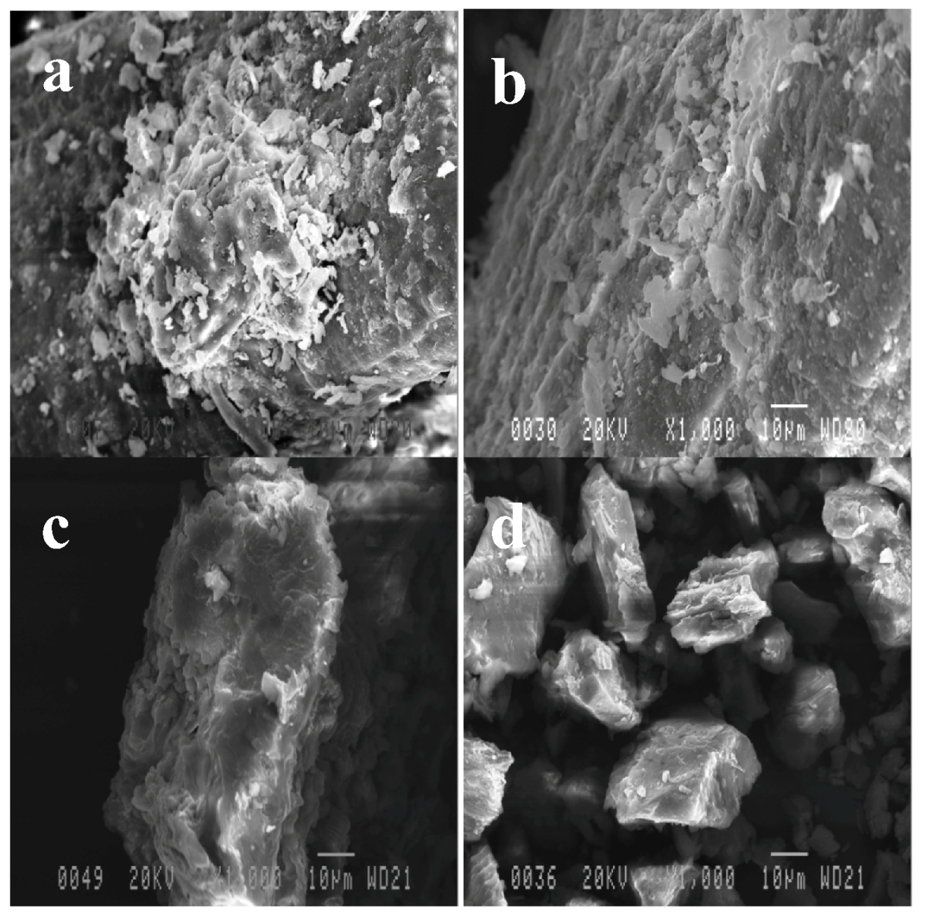 Molecules 17 14995 g005 550