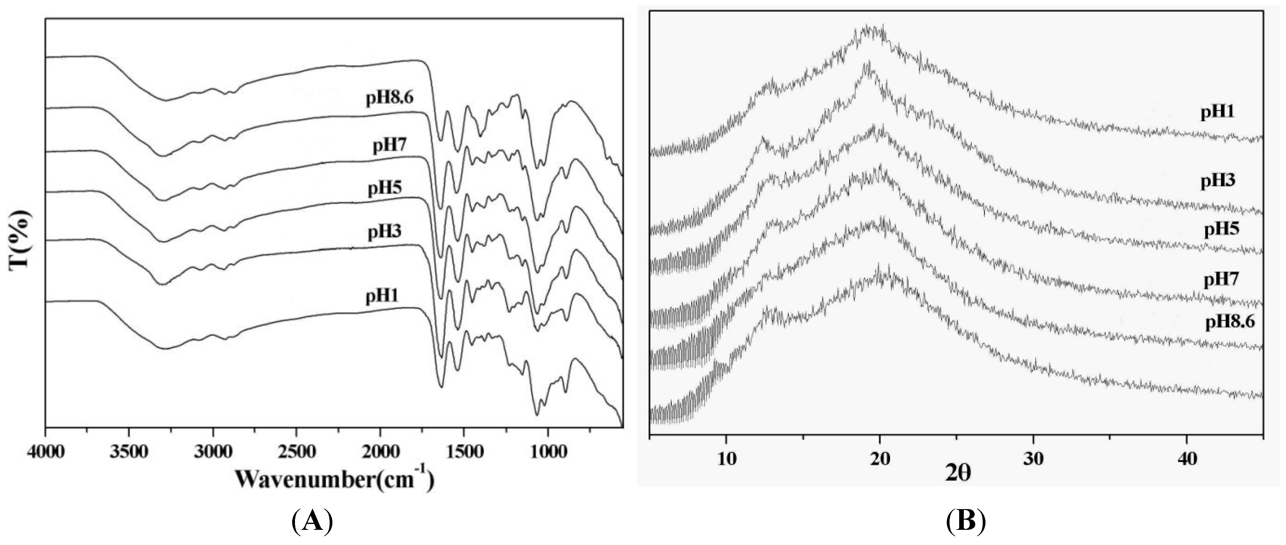 Janus photothermal adsorbent for solar-powered simultaneous