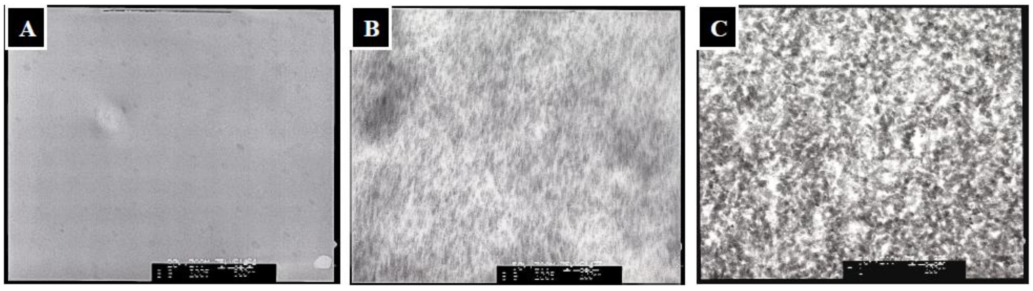 Molecules 18 00027 g004