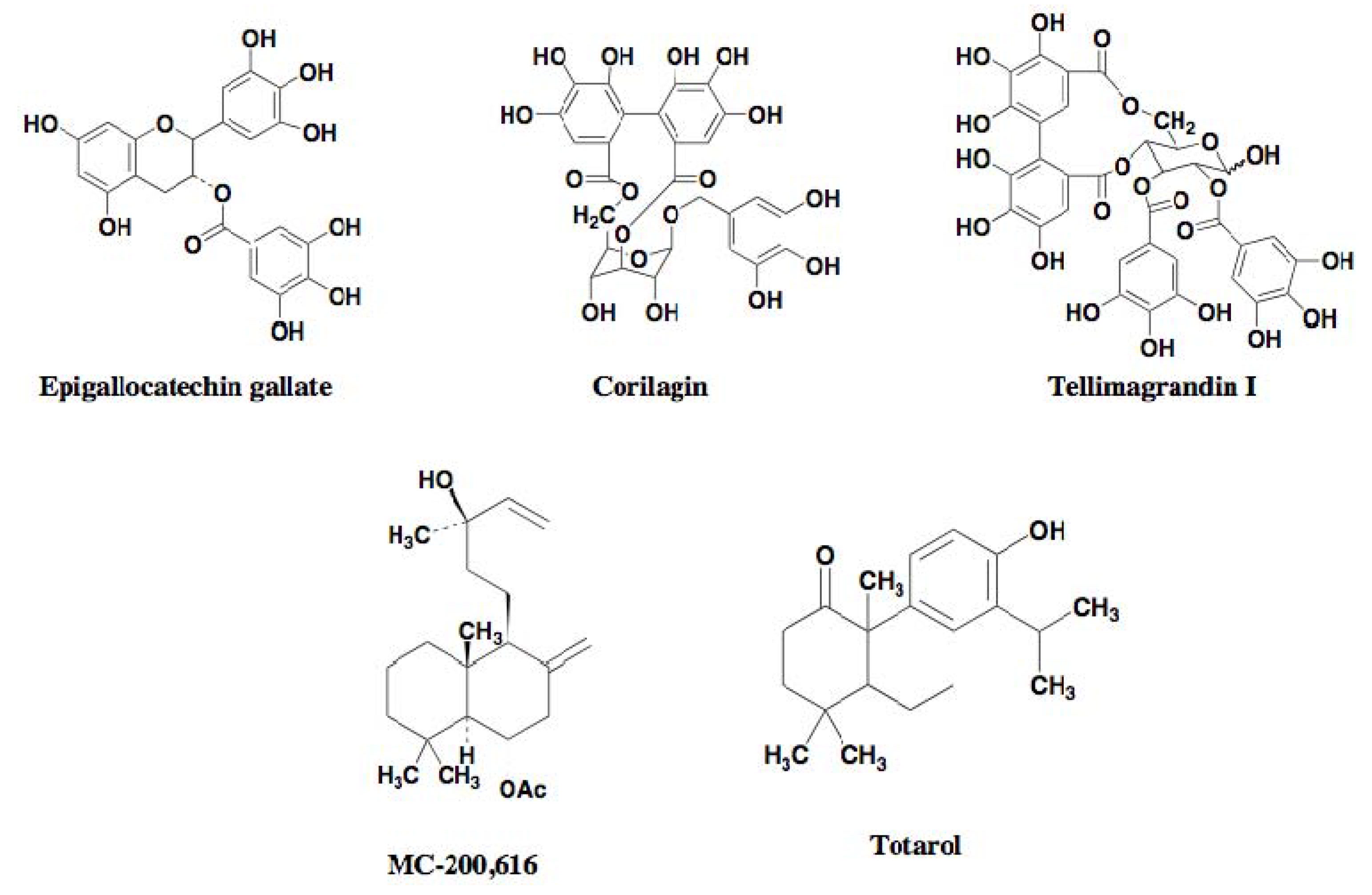 Molecules 18 00204 g005