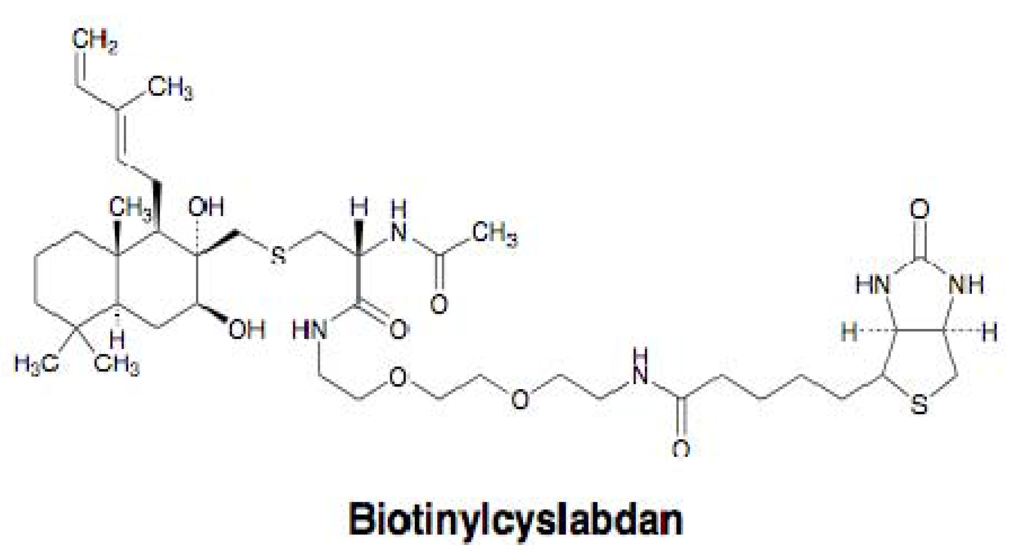 Molecules 18 00204 g008