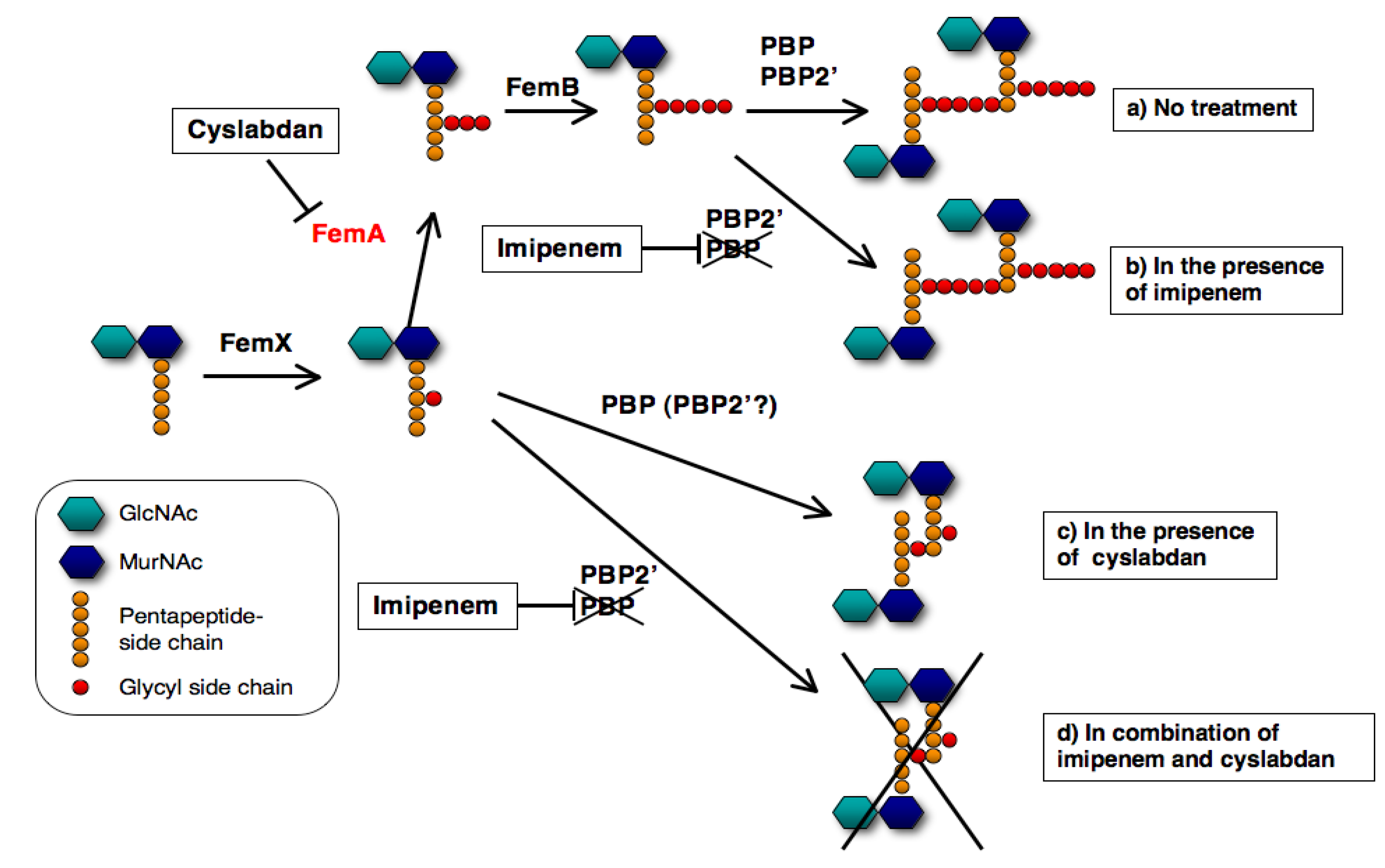 Molecules 18 00204 g009