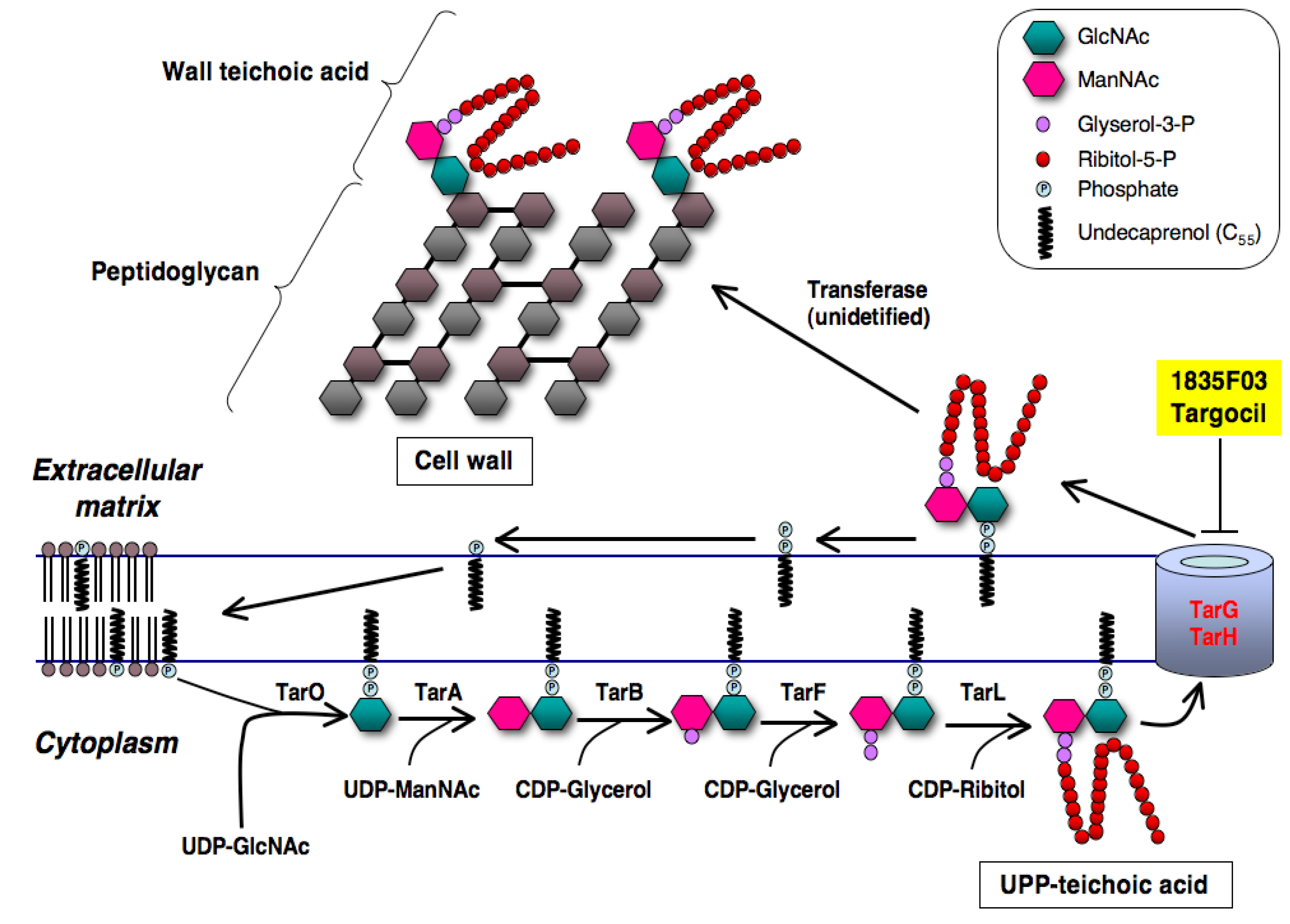 Molecules 18 00204 g010