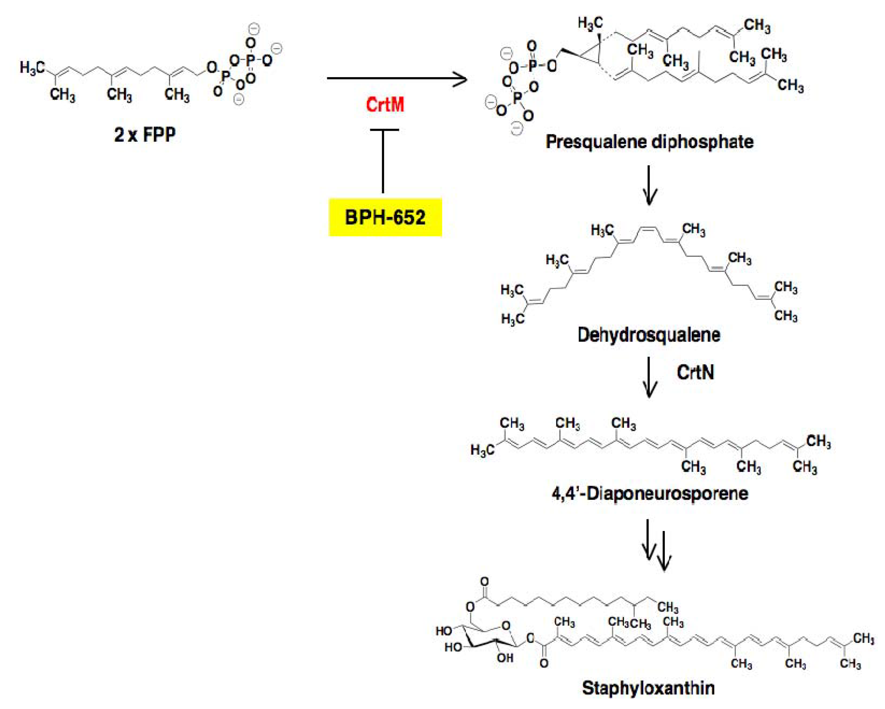 Molecules 18 00204 g012