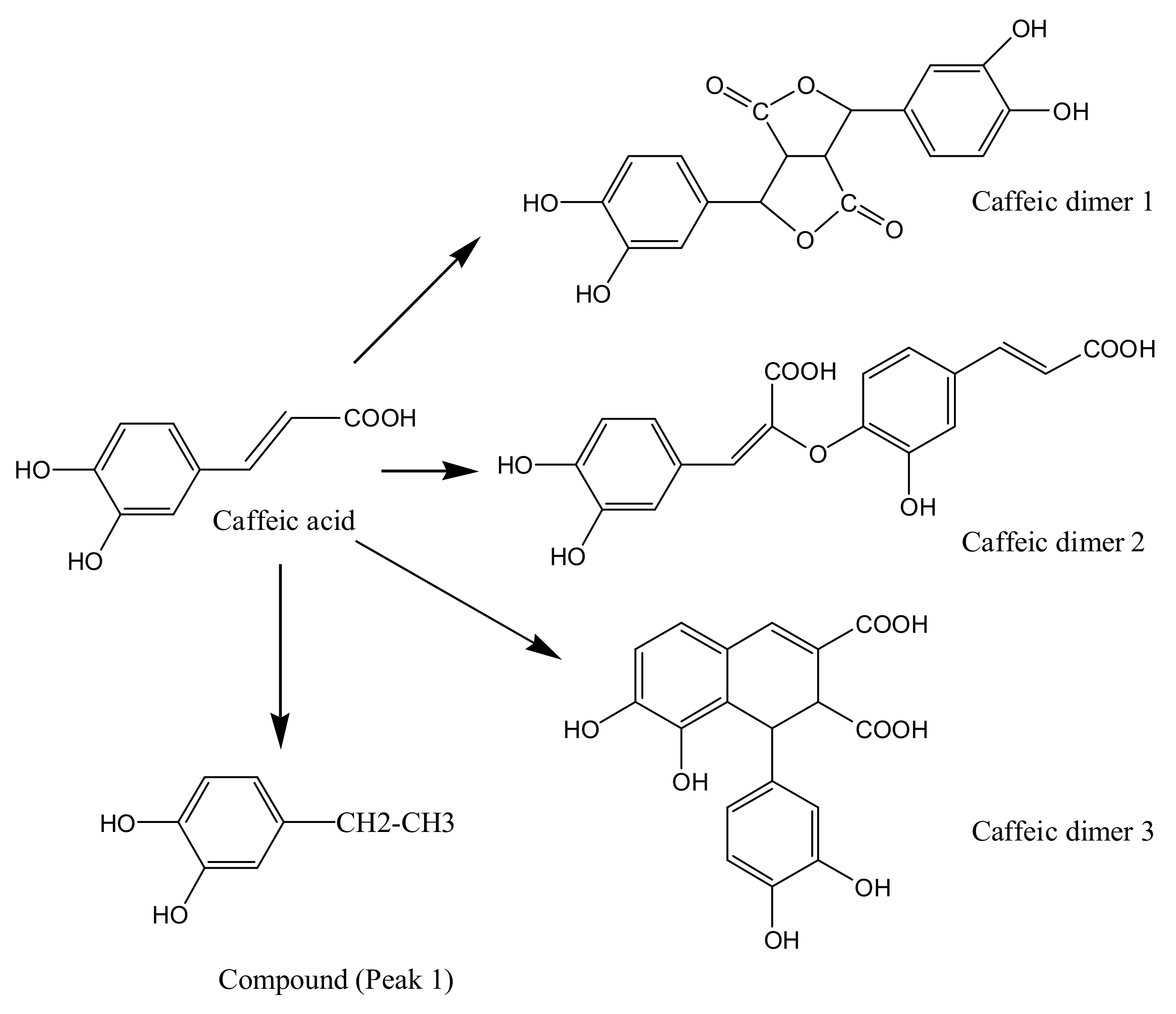 Molecules 18 00561 g009