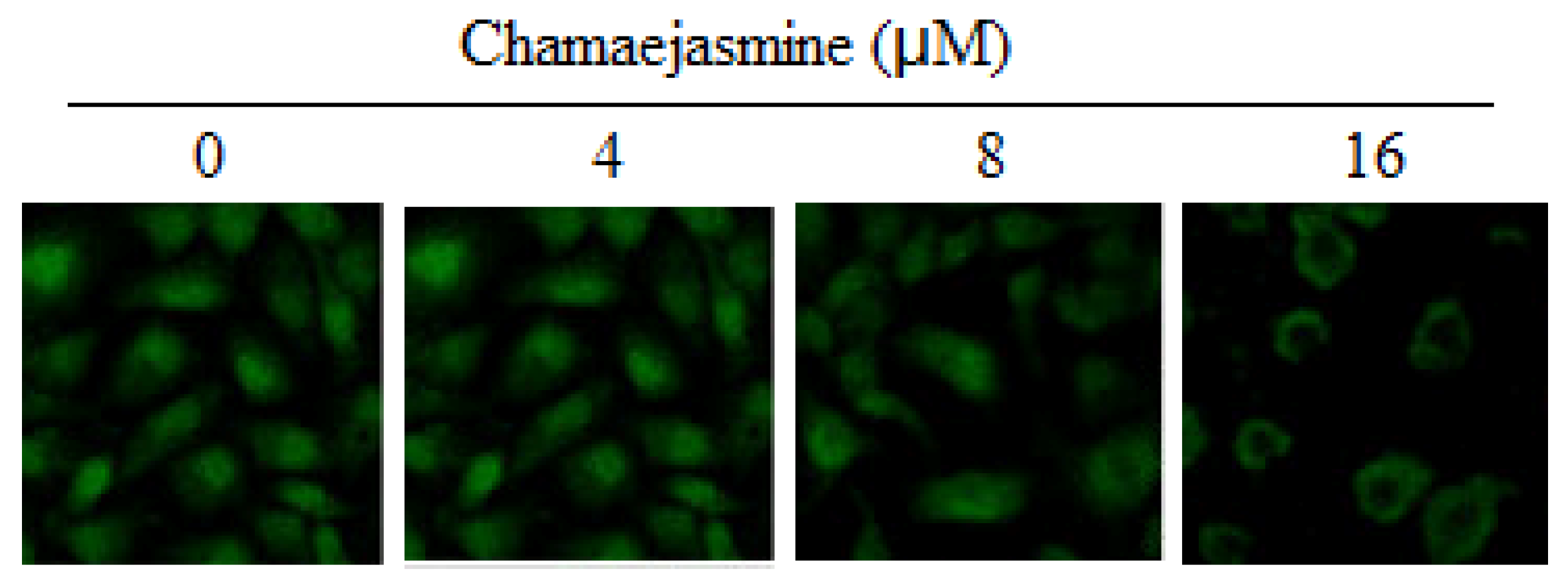 Molecules 18 00845 g006