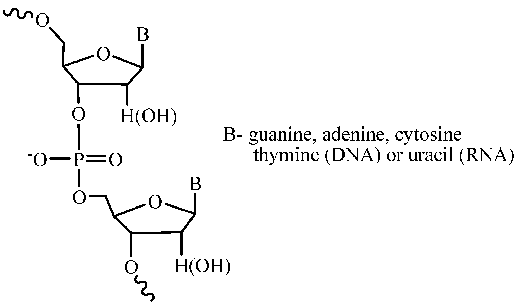 Molecules 18 01063 g001