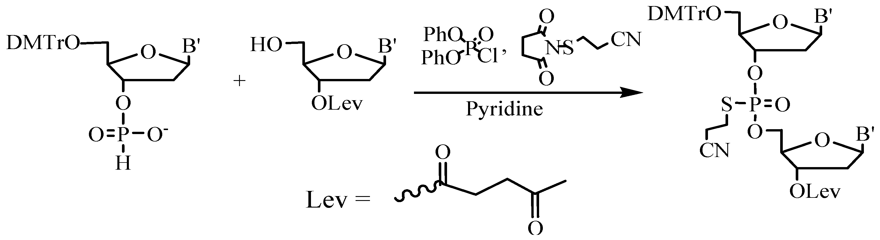 Molecules 18 01063 g009