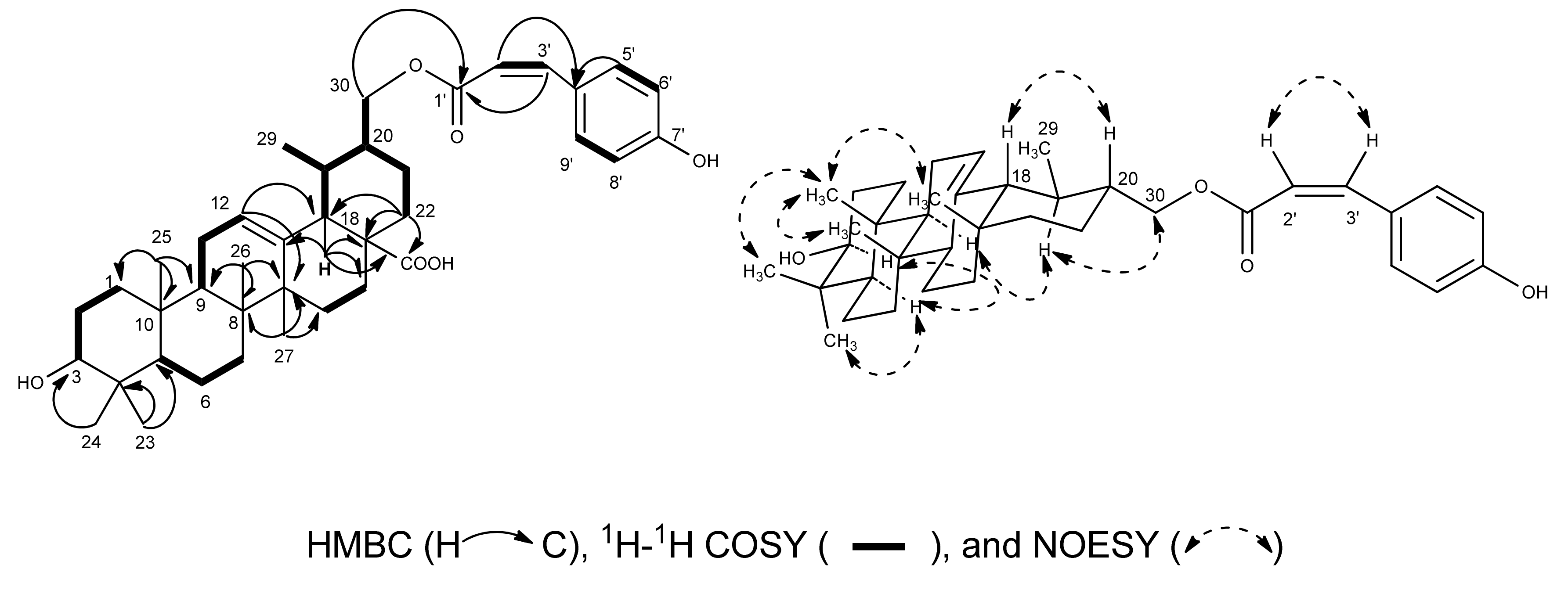 Molecules 18 01262 g002