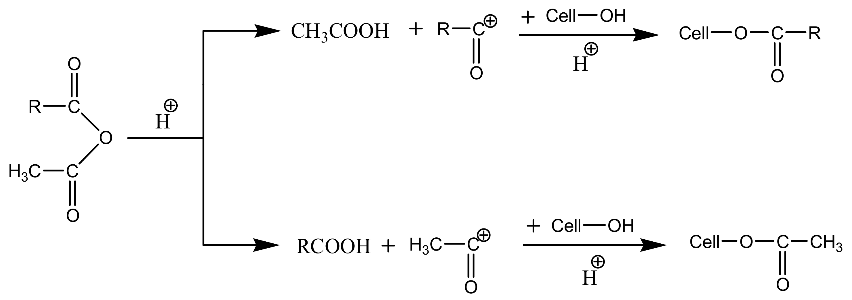 Molecules 18 01270 sch004