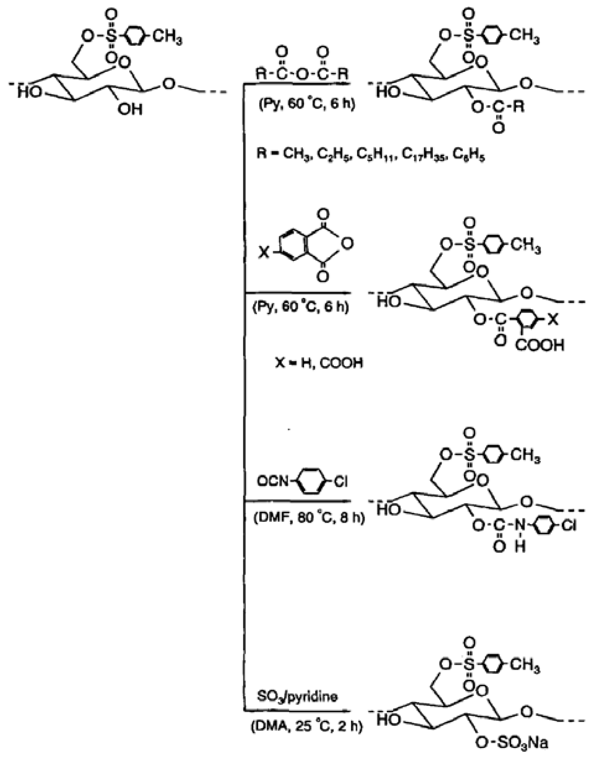 Molecules 18 01270 sch010