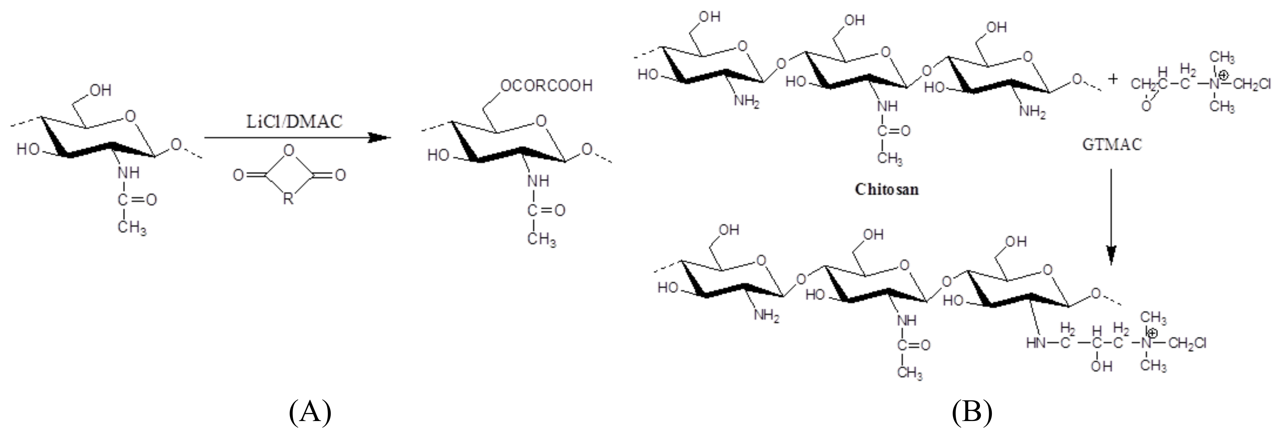 Molecules 18 01270 sch015