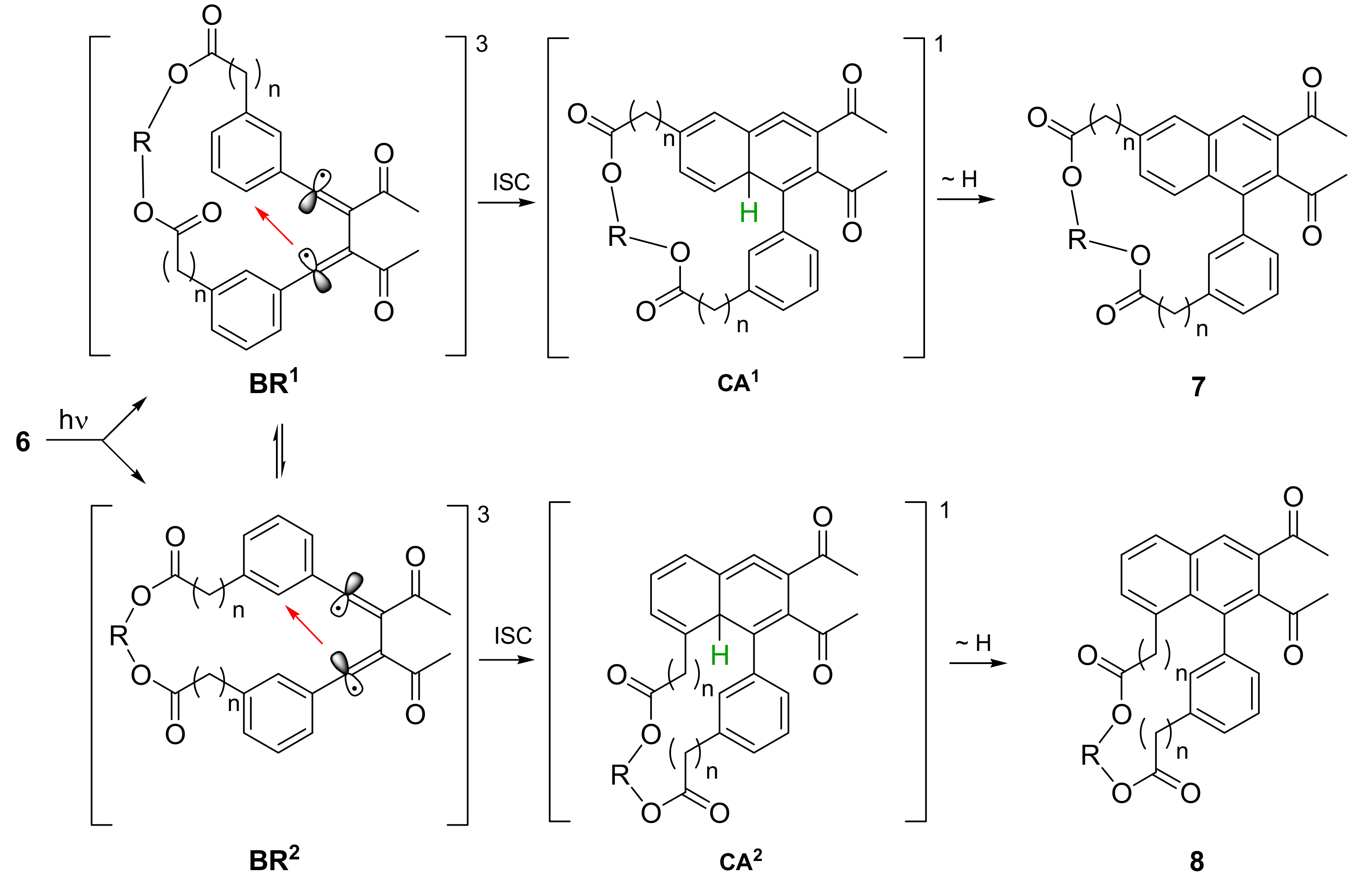 Molecules 18 01314 sch002
