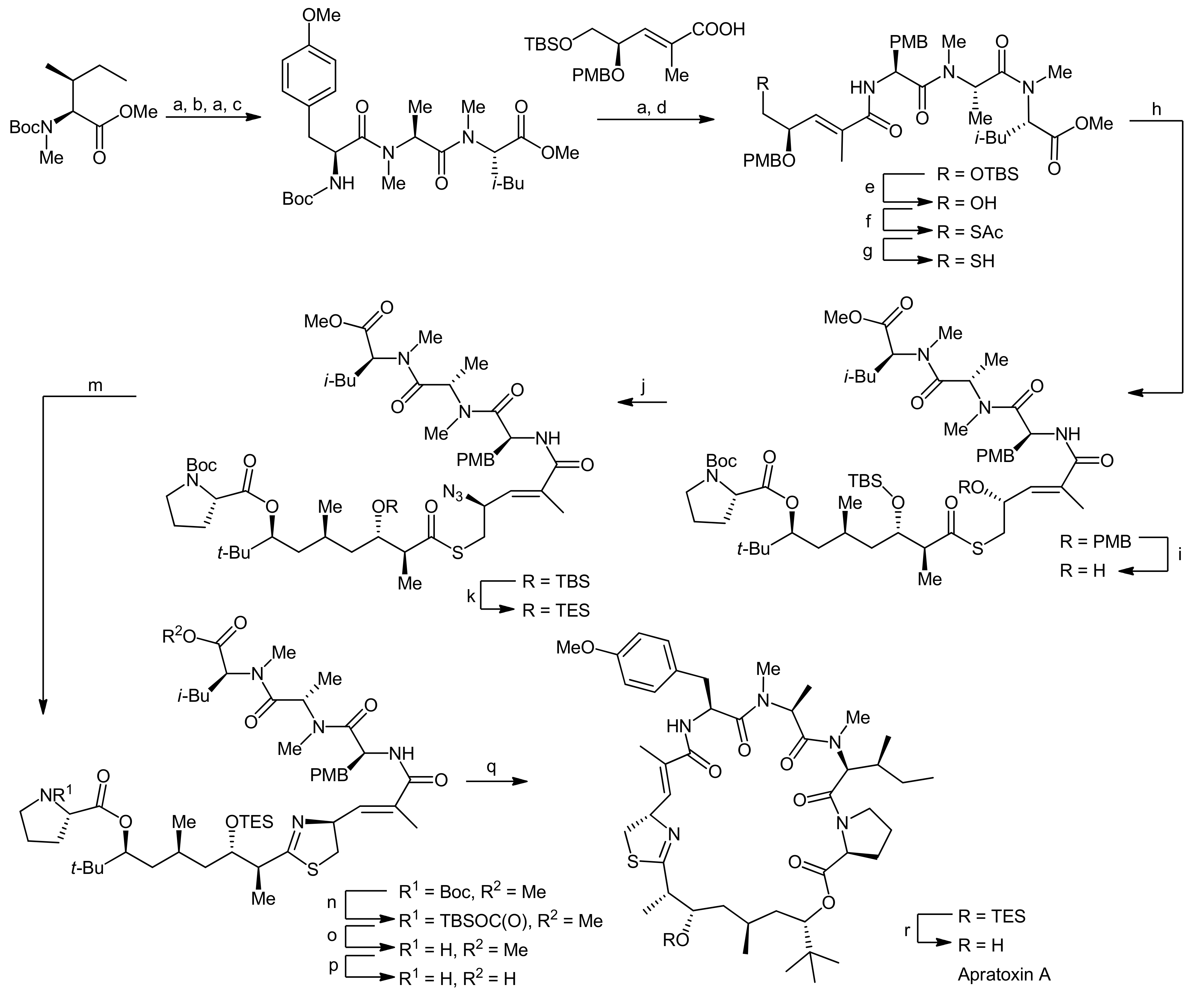 Molecules 18 01337 sch003