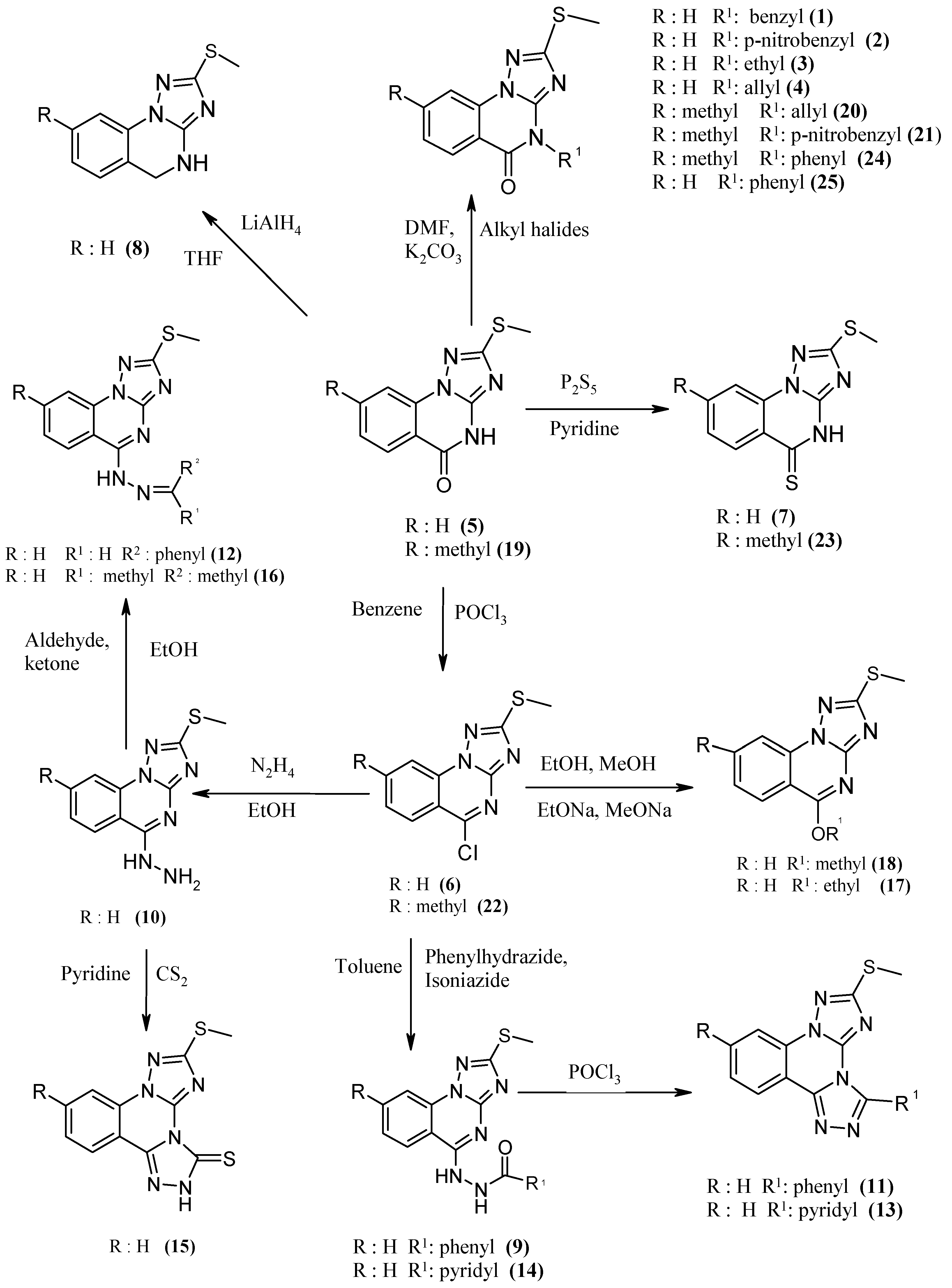 Molecules 18 01434 g001
