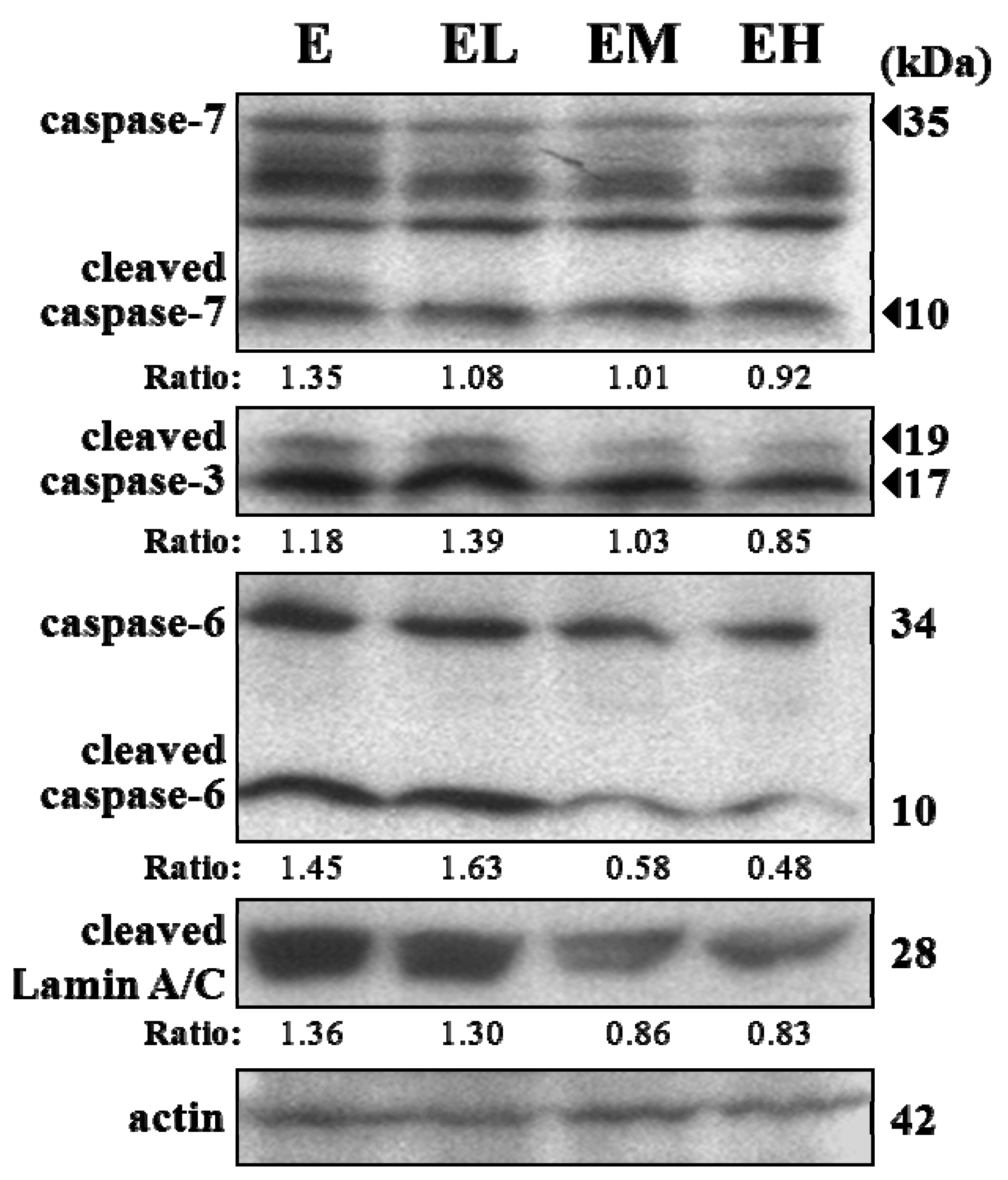 Molecules 18 01741 g003