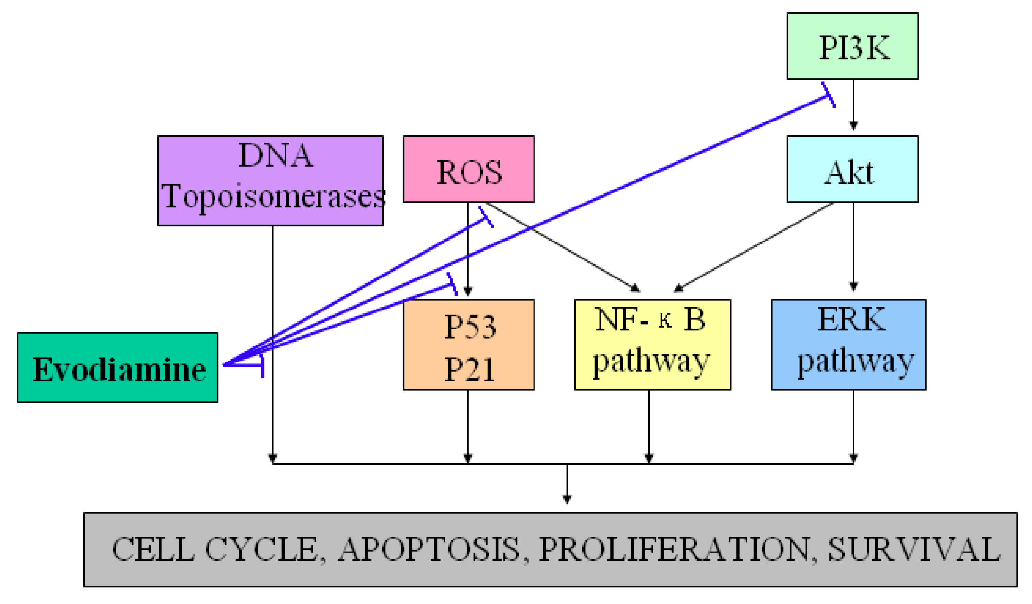 Molecules 18 01826 g003