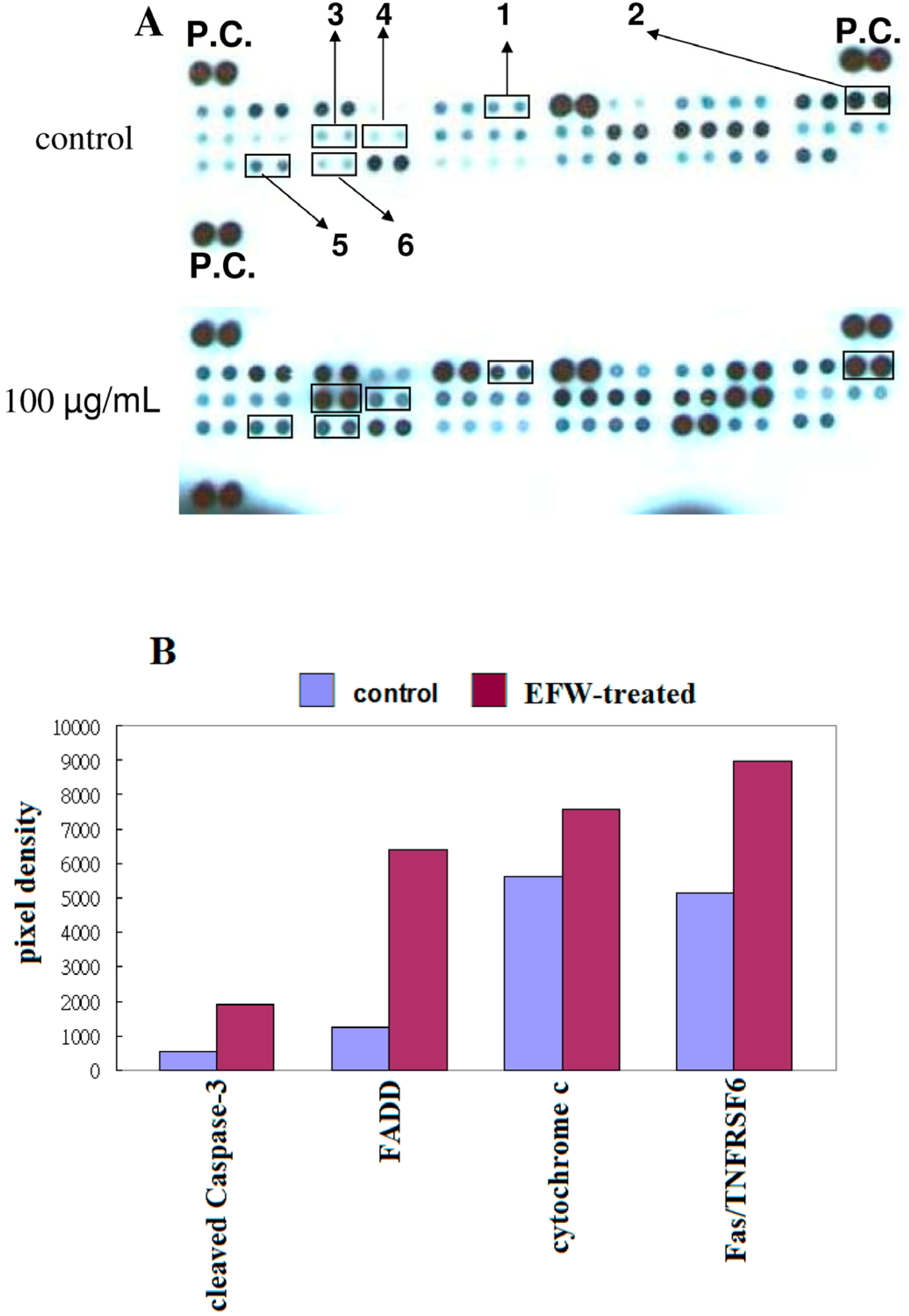 Molecules 18 01949 g005