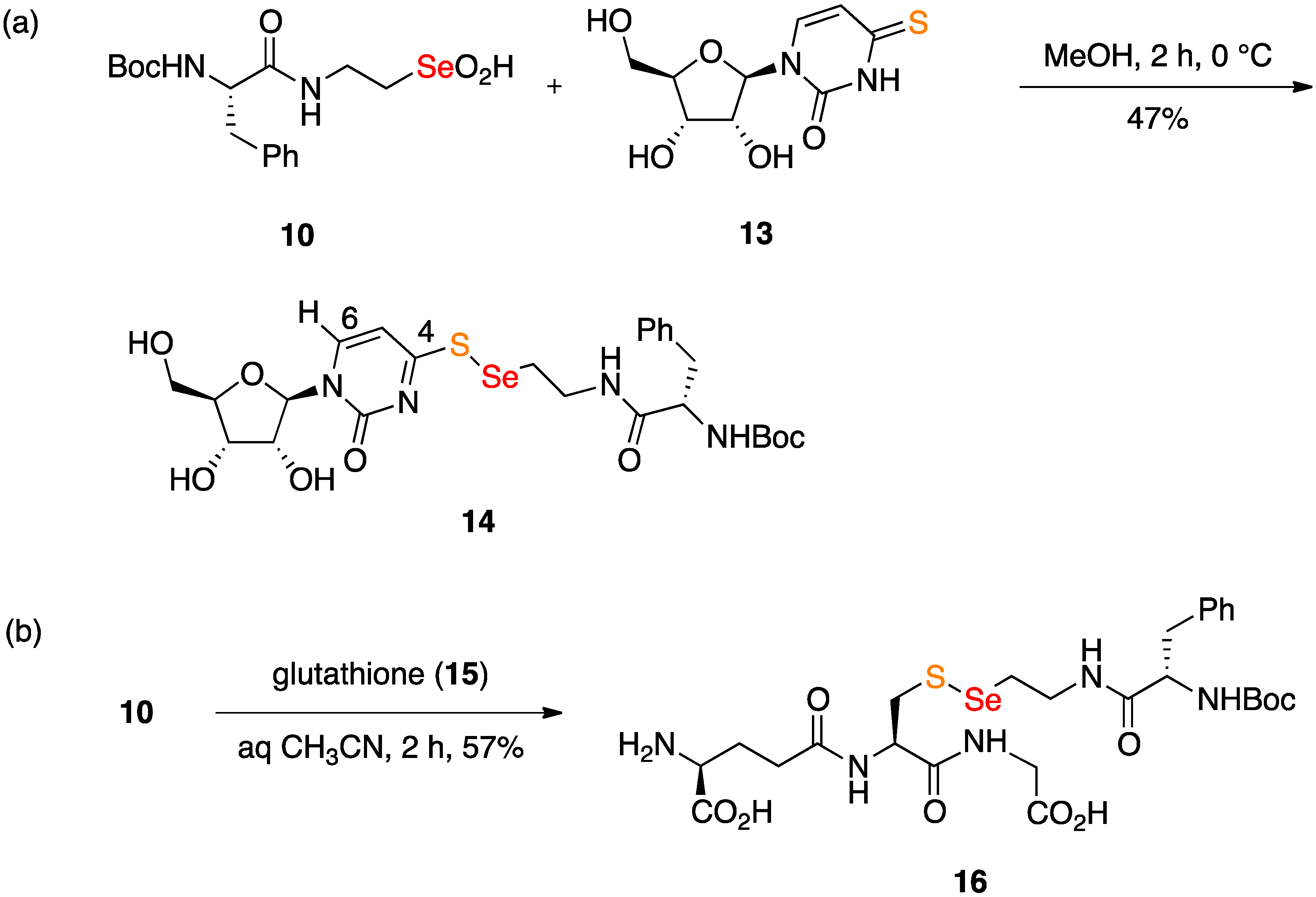 Molecules 18 01963 g004