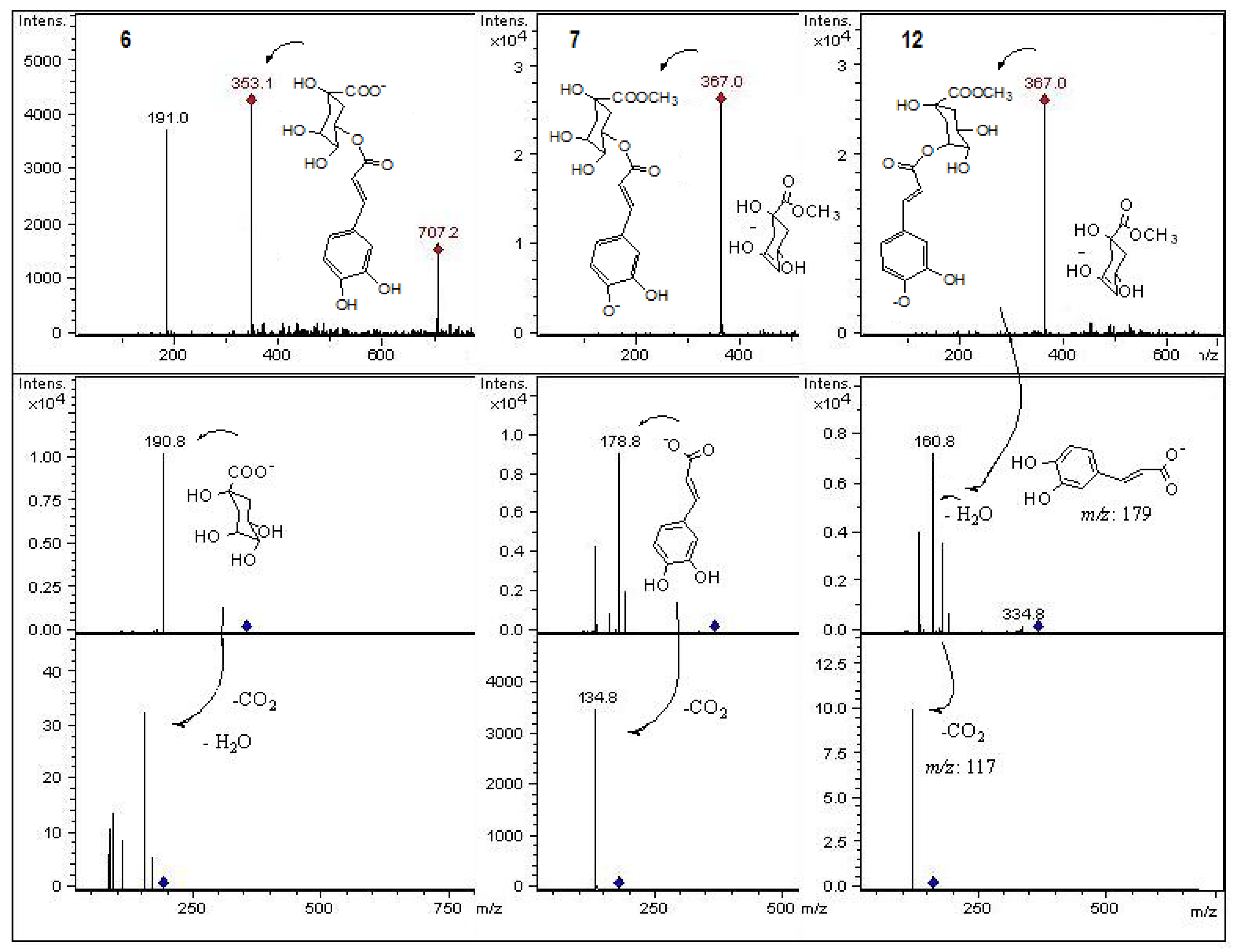 Molecules 18 02061 g006