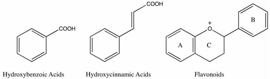 インファーノ Techniques for Analysis of Plant Phenolic Compounds